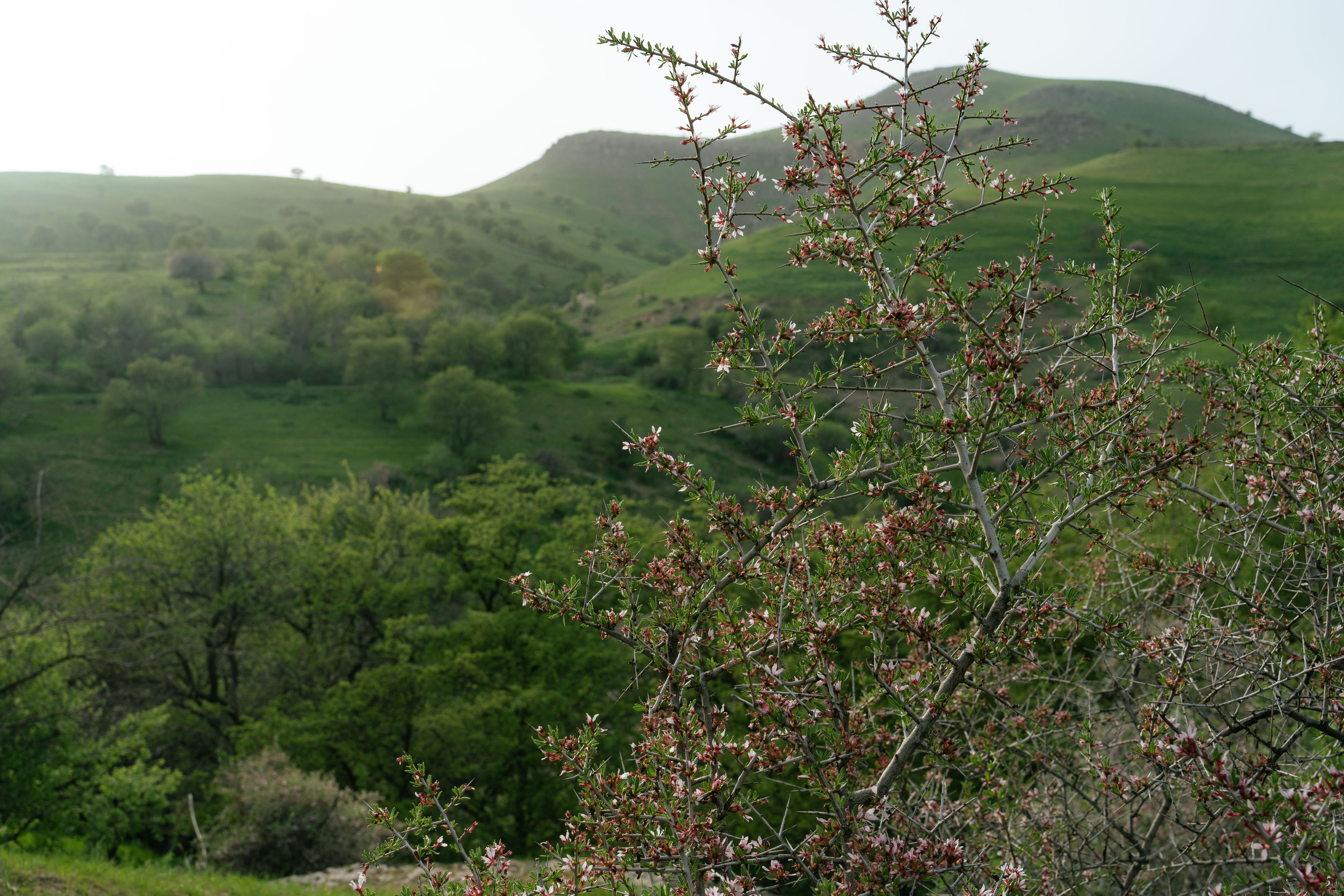 Поход в Азадбашсай. Георгий Намазов | Фотограф в Ташкенте