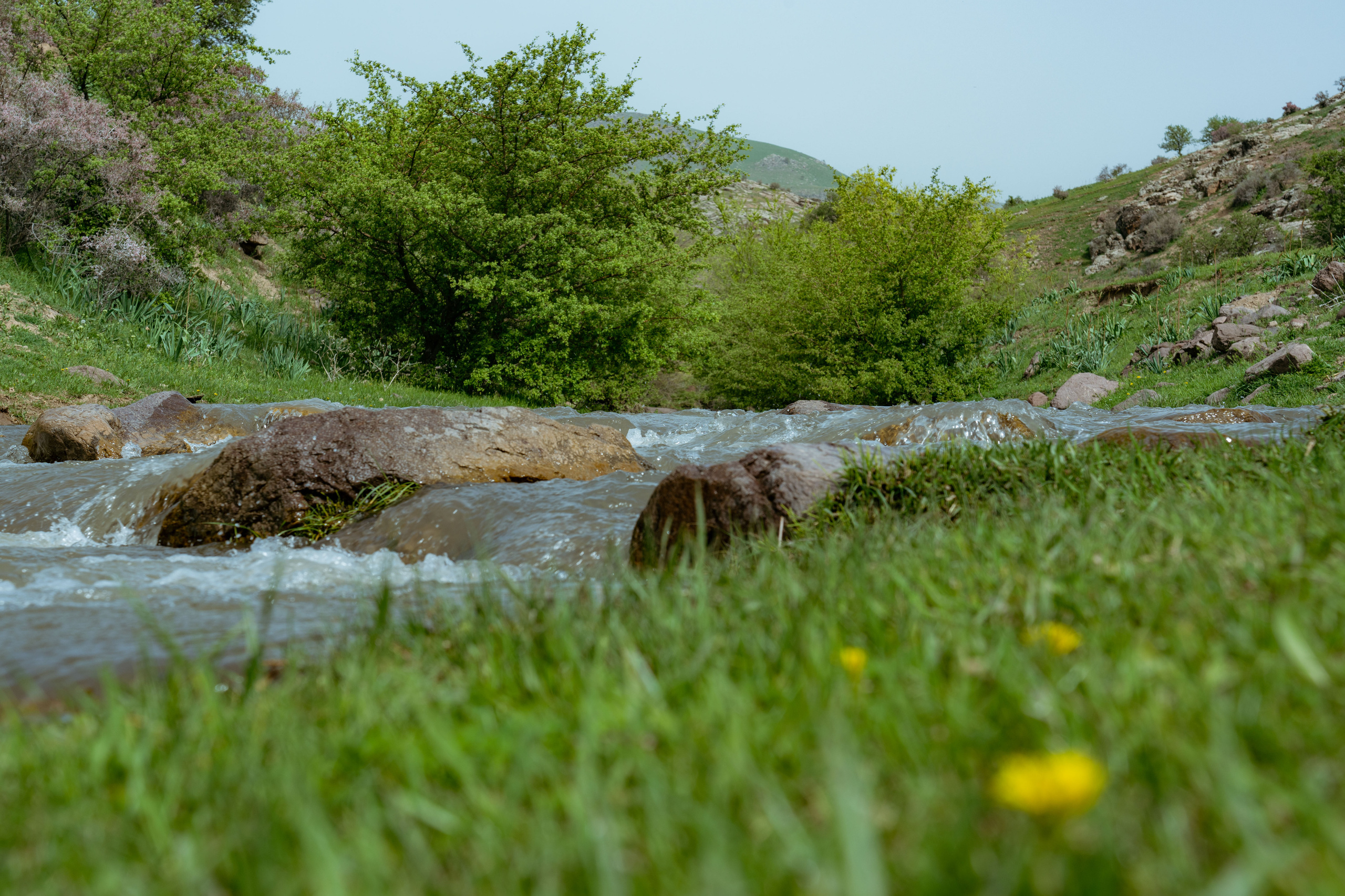 Поход в Азадбашсай. Георгий Намазов | Фотограф в Ташкенте