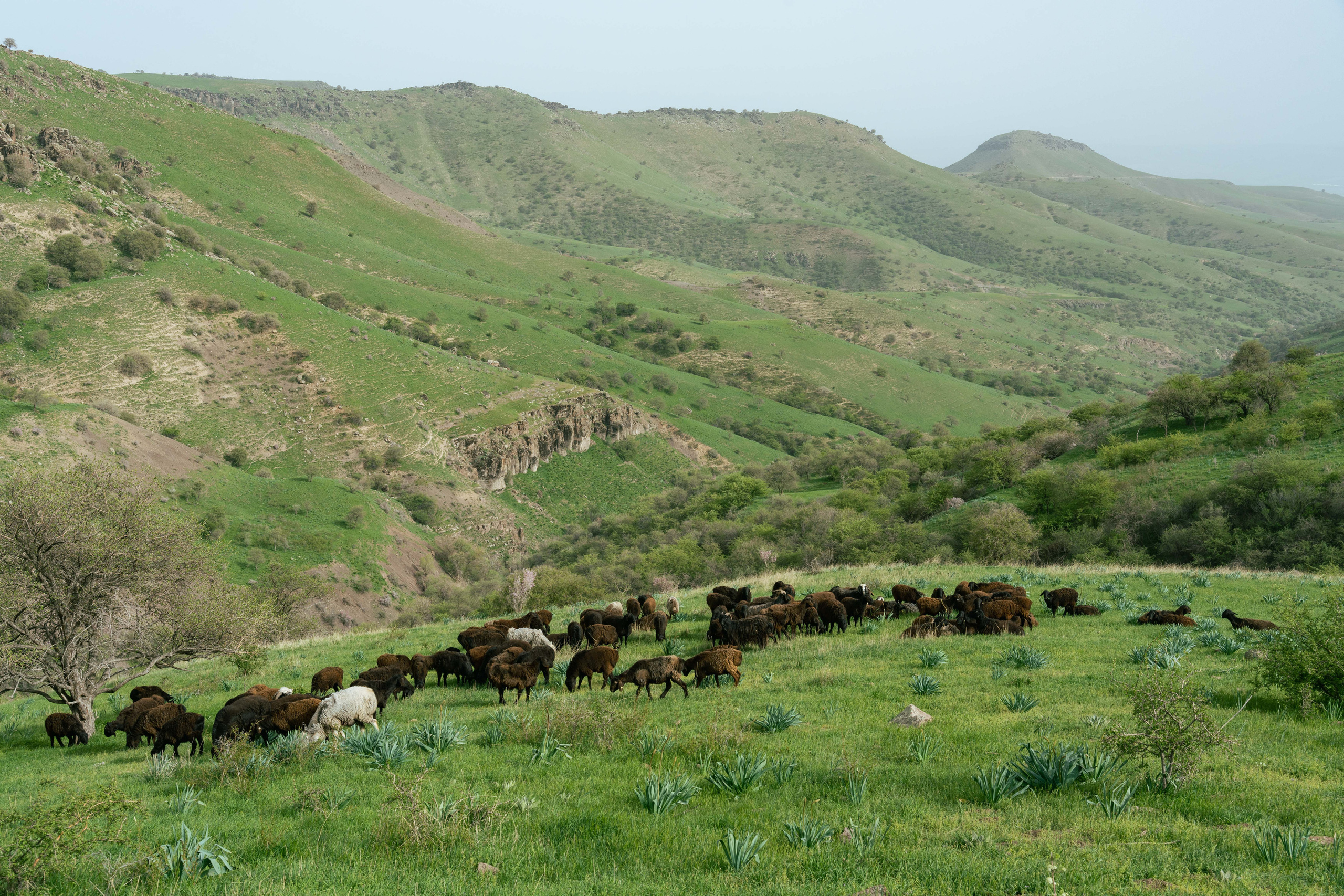 Поход в Азадбашсай. Георгий Намазов | Фотограф в Ташкенте