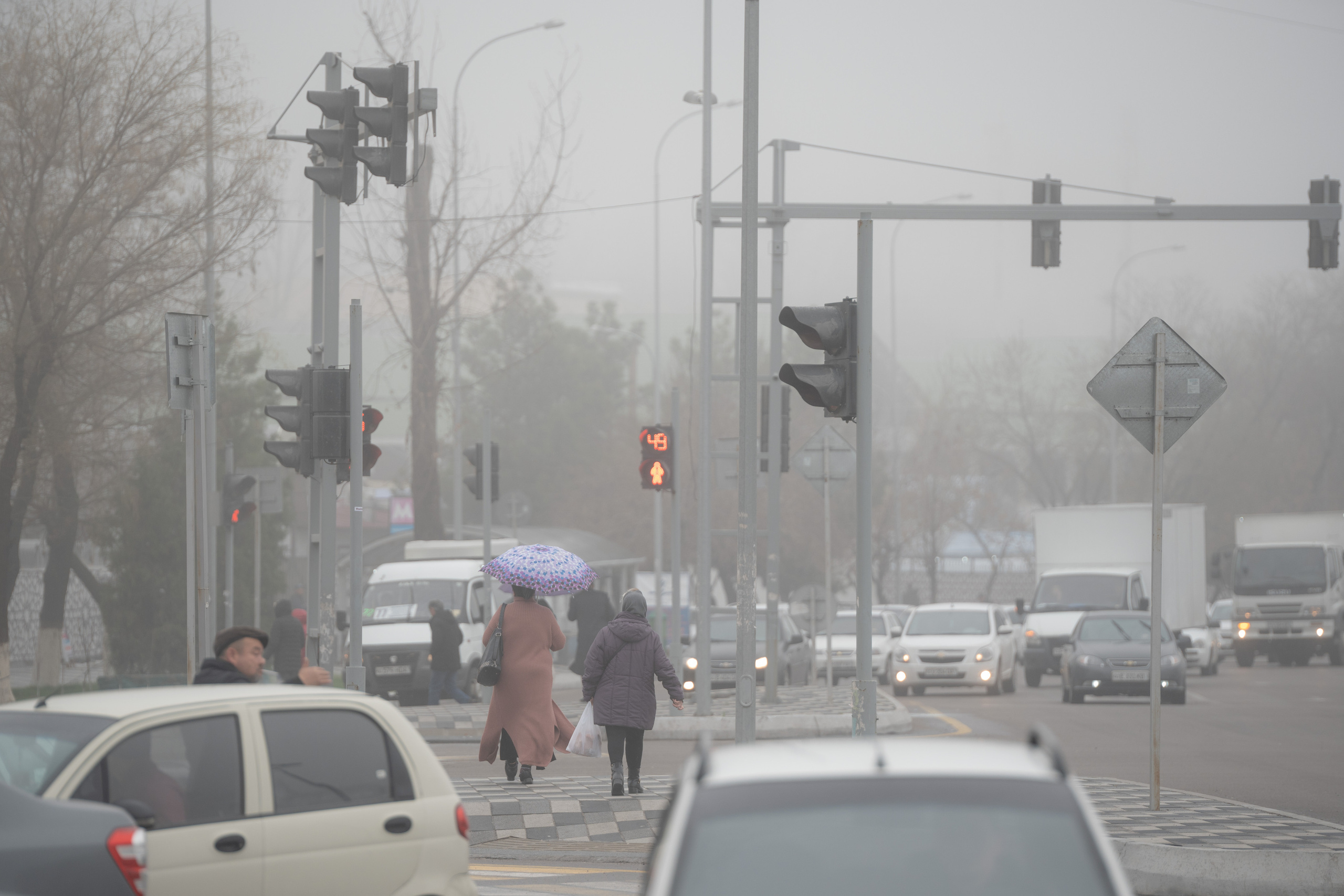Ташкент во власти тумана. Георгий Намазов | Фотограф в Ташкенте