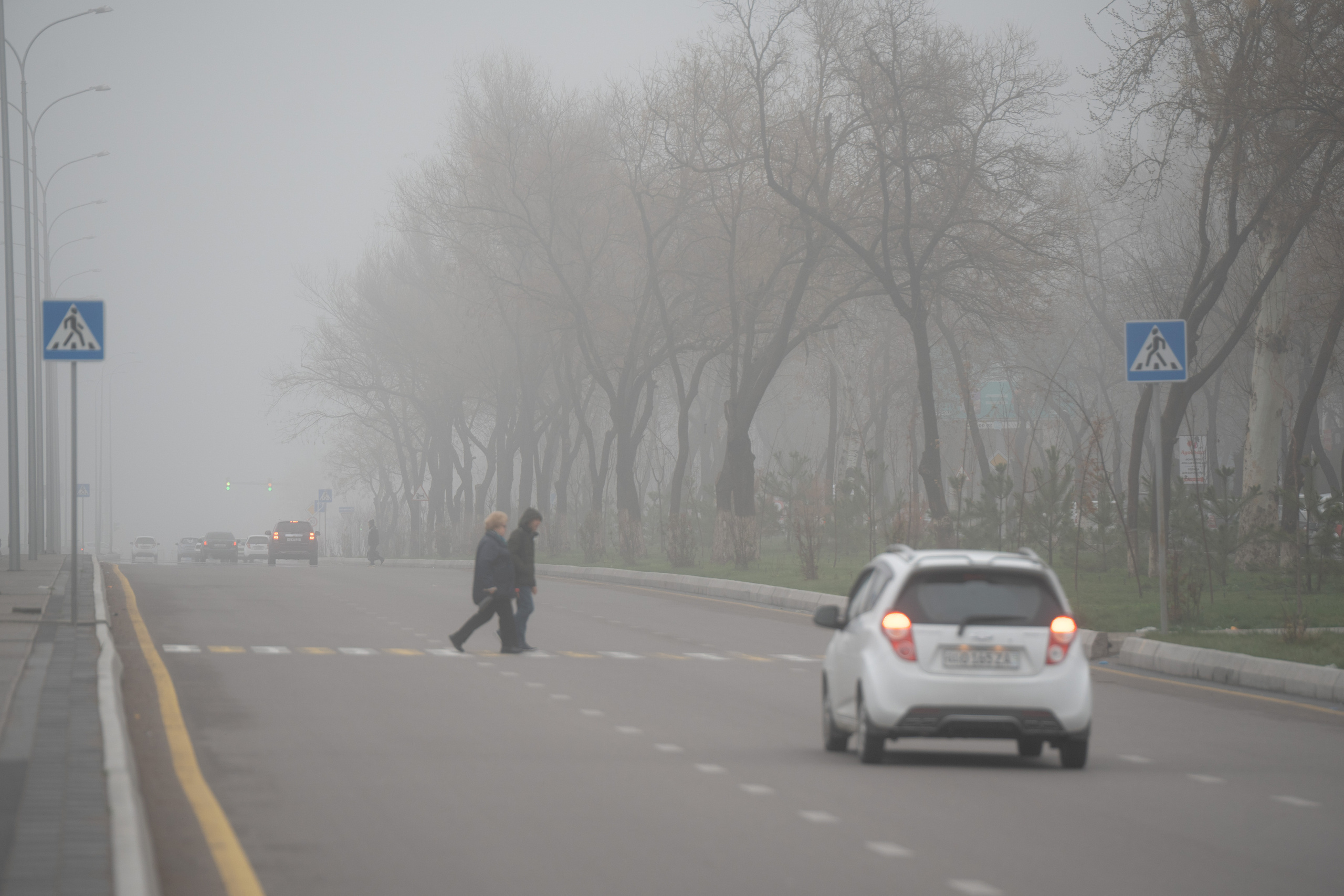 Ташкент во власти тумана. Георгий Намазов | Фотограф в Ташкенте