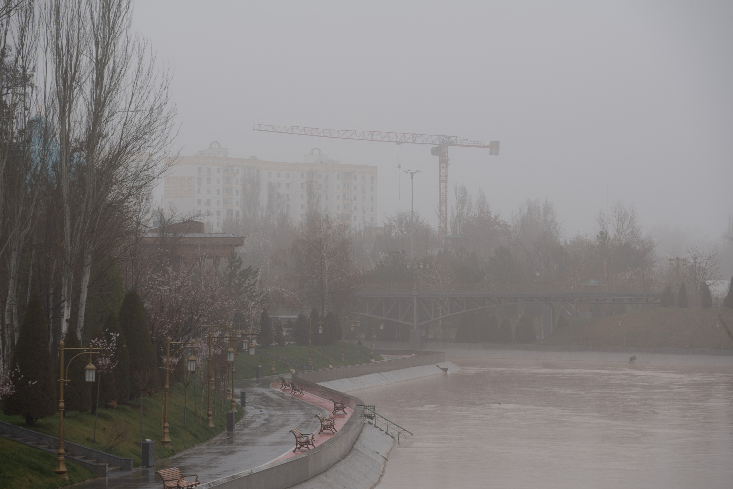 Ташкент во власти тумана. Георгий Намазов | Фотограф в Ташкенте