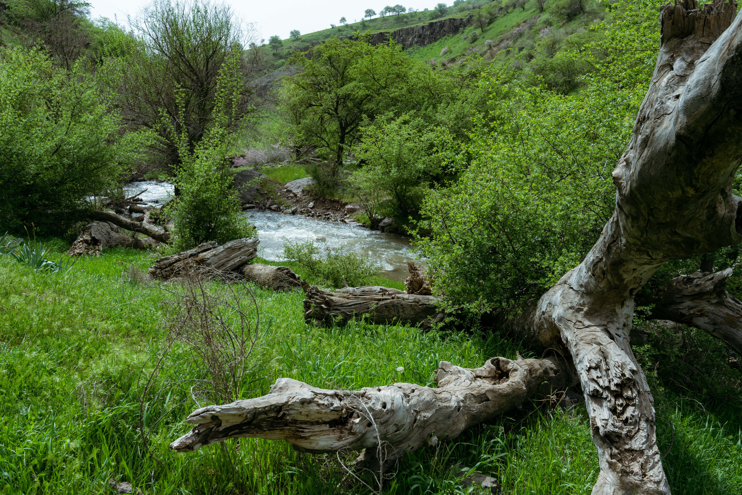 Поход в Азадбашсай. Георгий Намазов | Фотограф в Ташкенте
