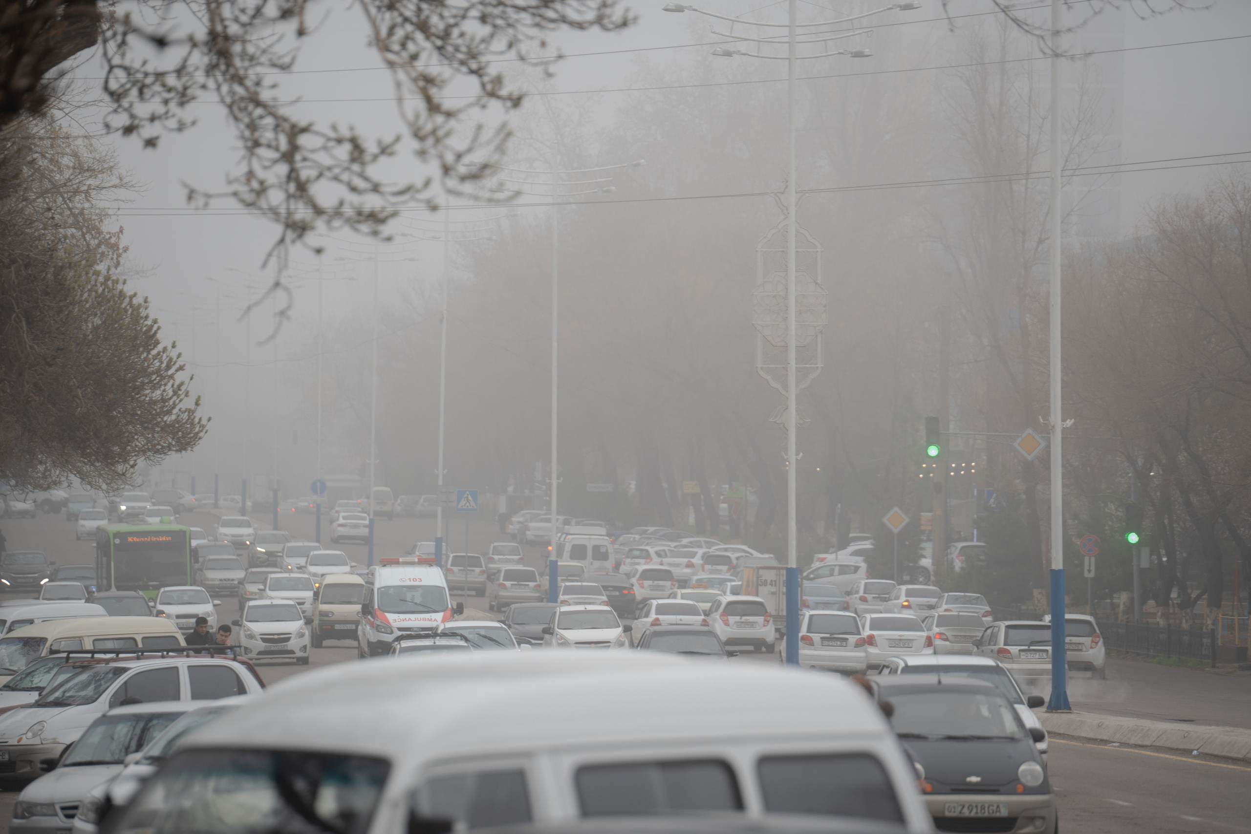 Ташкент во власти тумана. Георгий Намазов | Фотограф в Ташкенте