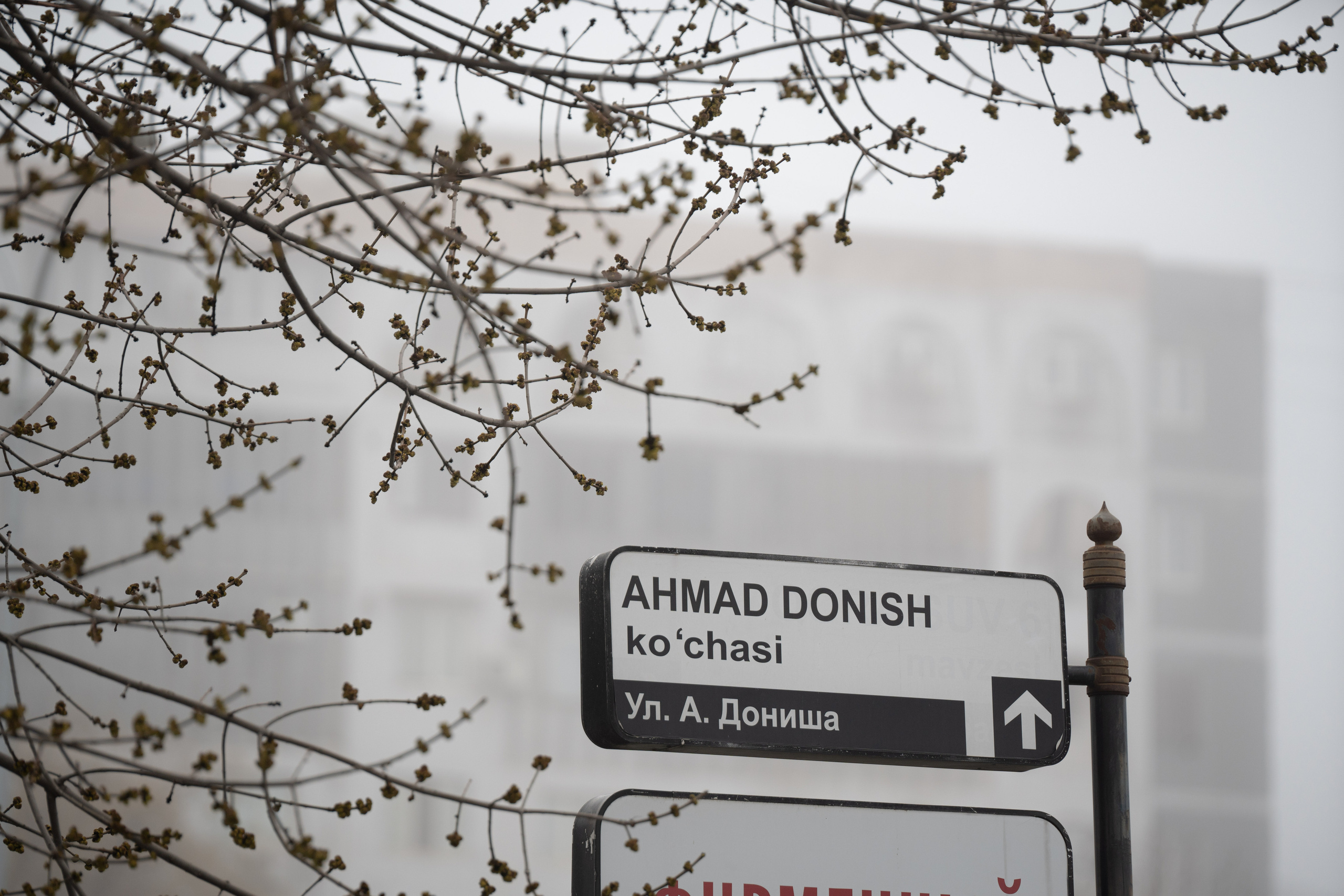 Ташкент во власти тумана. Георгий Намазов | Фотограф в Ташкенте