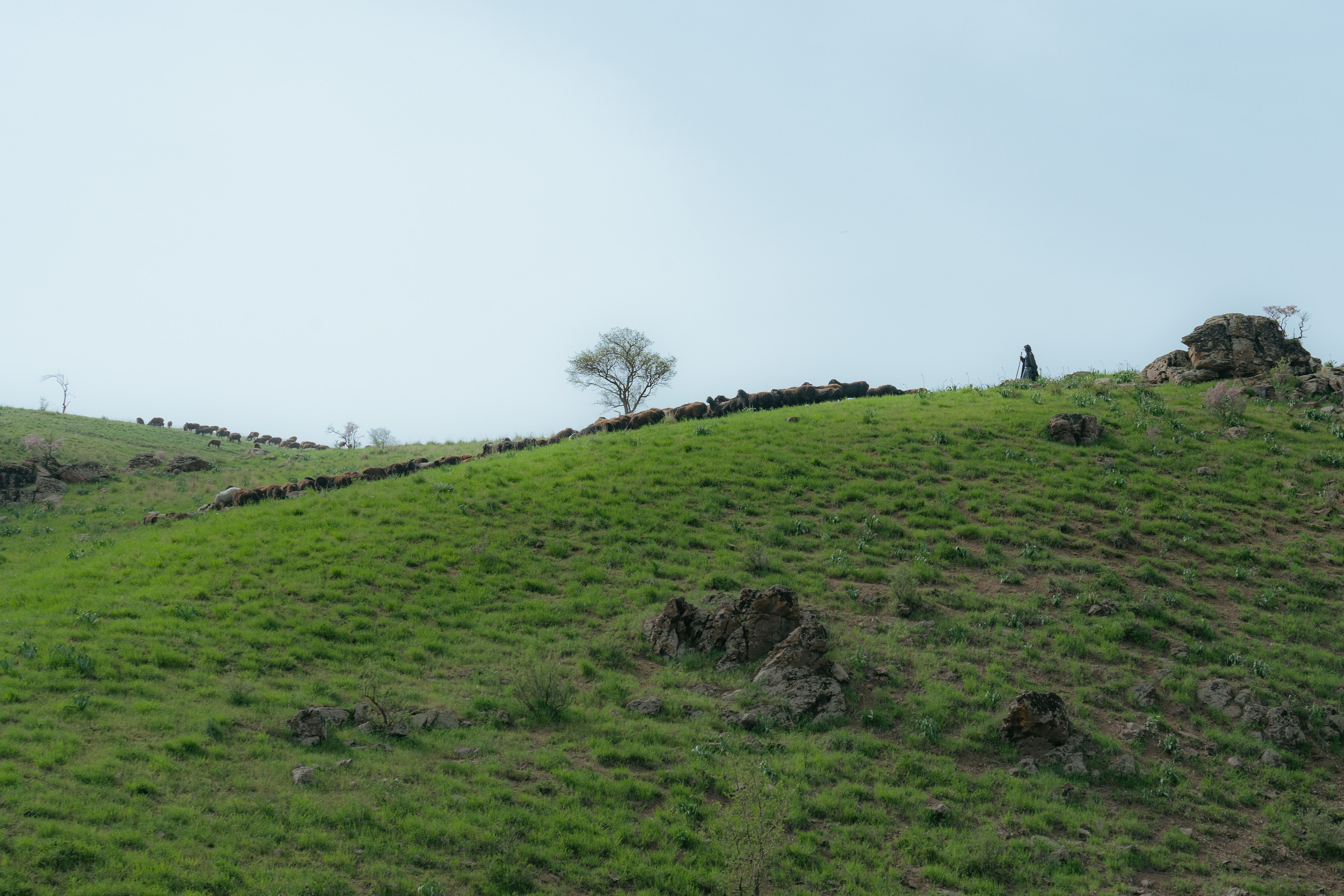 Поход в Азадбашсай. Георгий Намазов | Фотограф в Ташкенте
