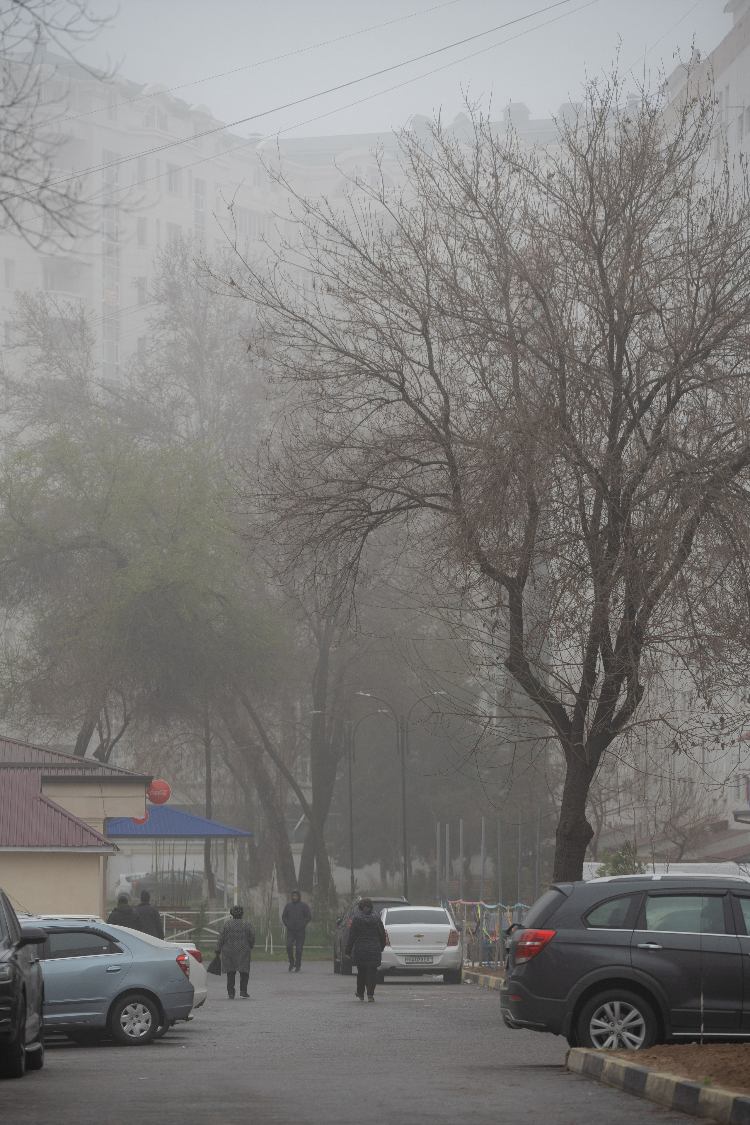 Ташкент во власти тумана. Георгий Намазов | Фотограф в Ташкенте