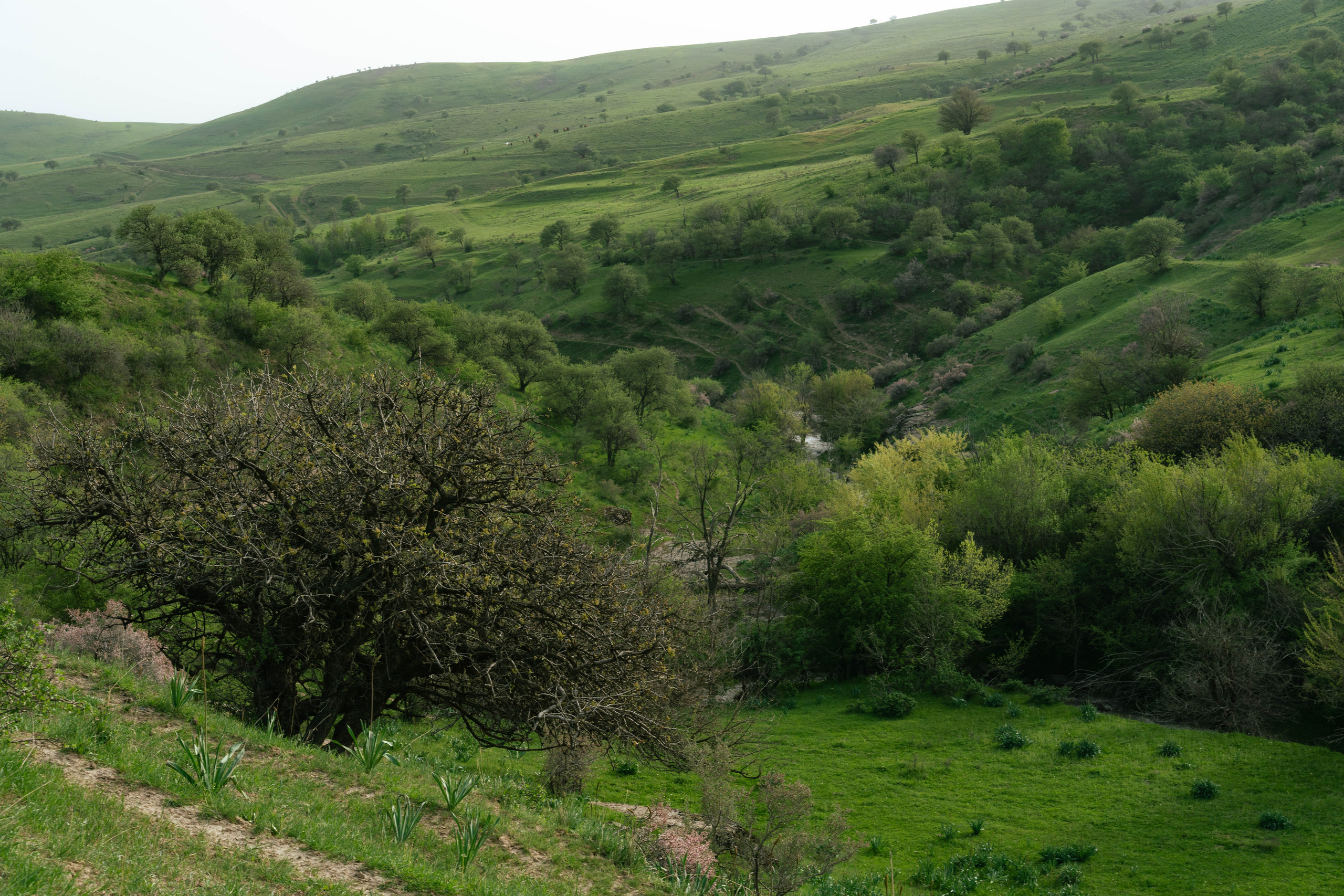 Поход в Азадбашсай. Георгий Намазов | Фотограф в Ташкенте