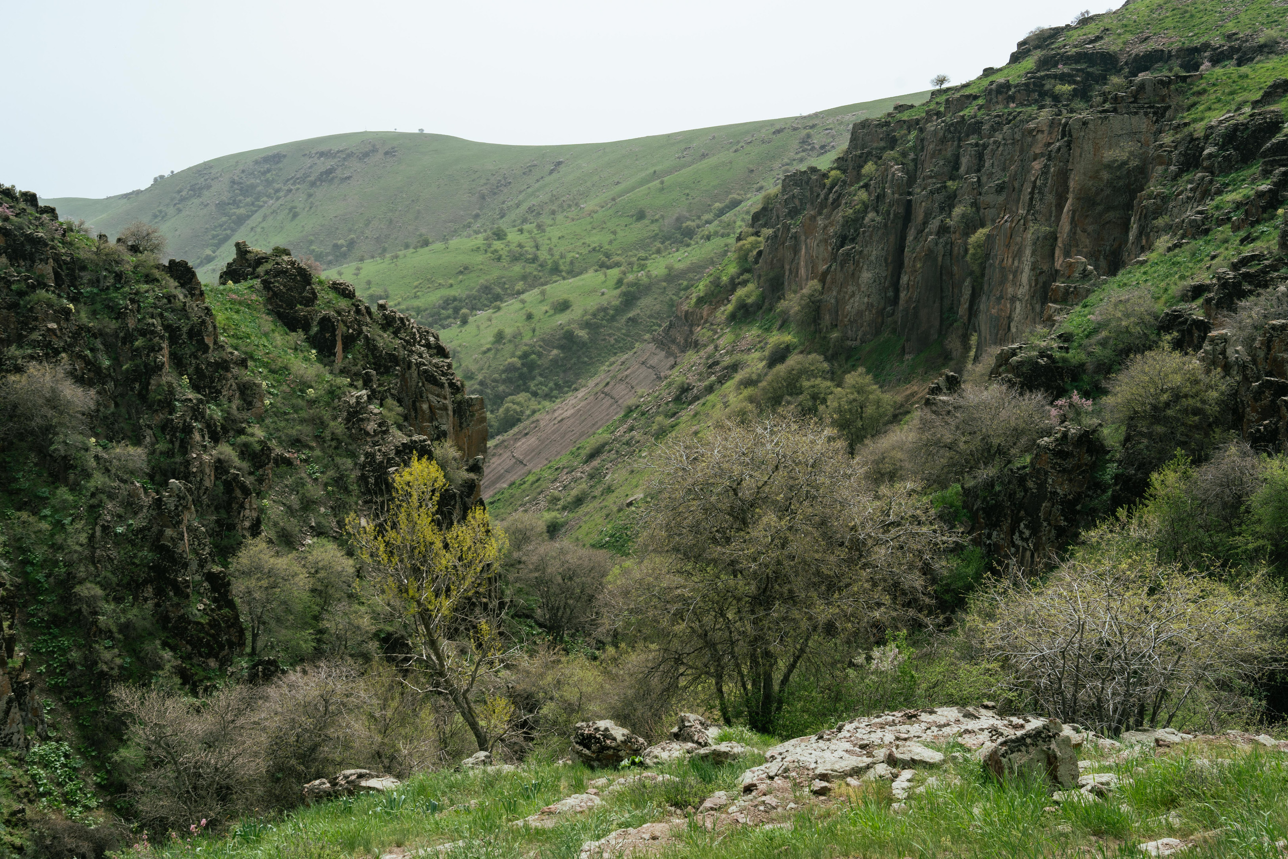 Поход в Азадбашсай. Георгий Намазов | Фотограф в Ташкенте