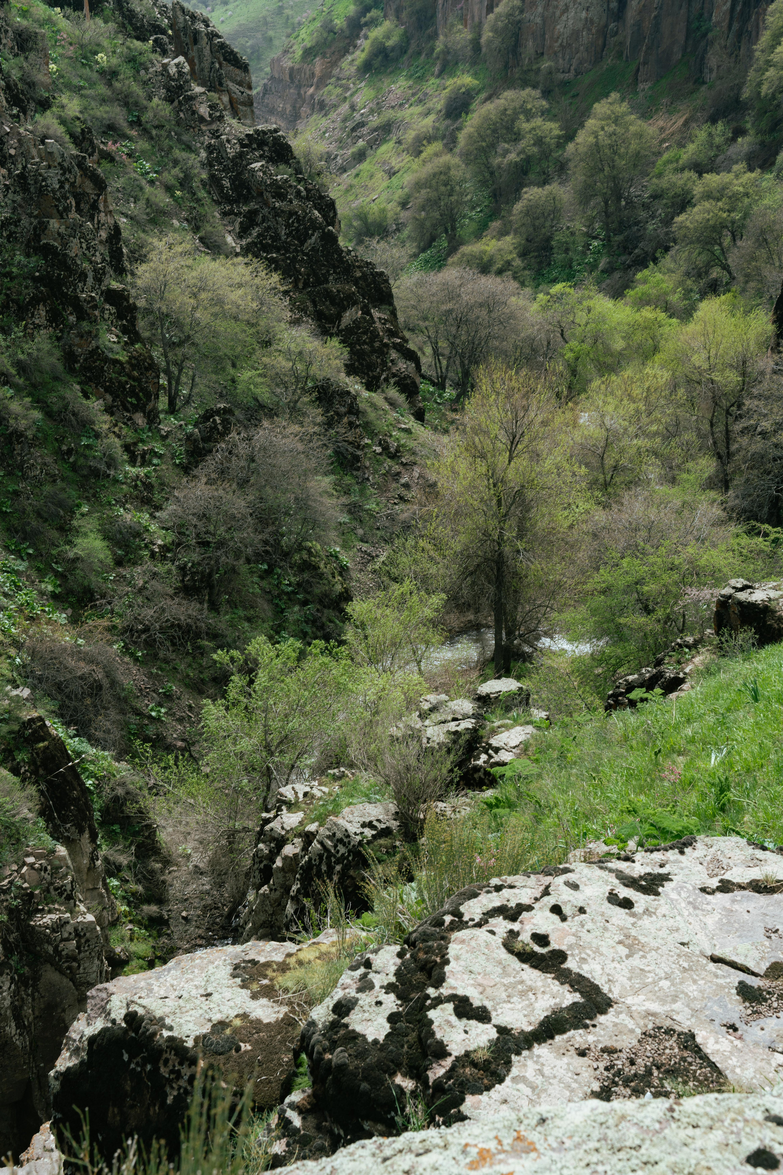 Поход в Азадбашсай. Георгий Намазов | Фотограф в Ташкенте