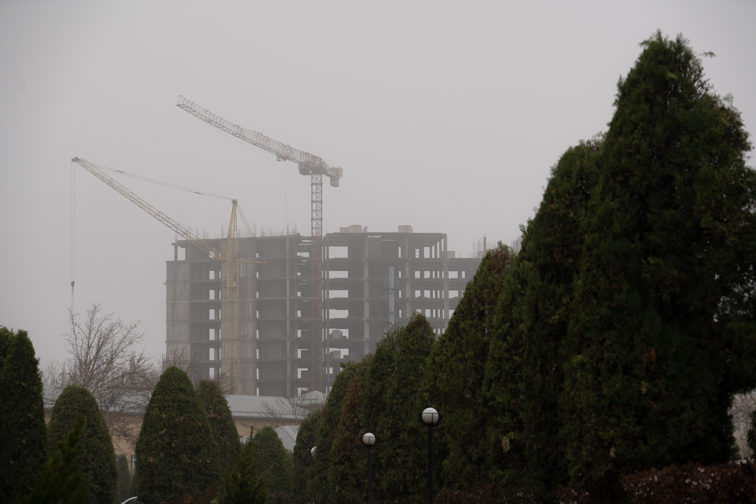 Ташкент во власти тумана. Георгий Намазов | Фотограф в Ташкенте