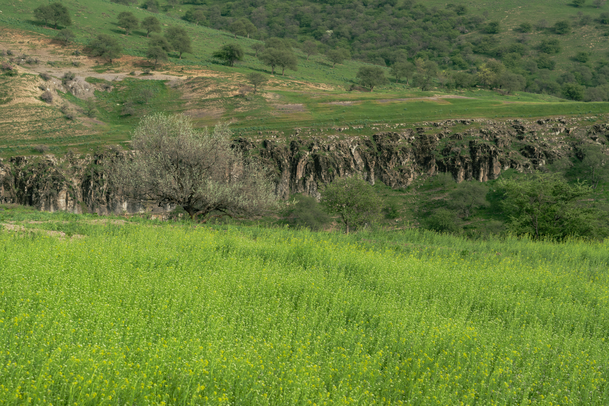 Поход в Азадбашсай. Георгий Намазов | Фотограф в Ташкенте