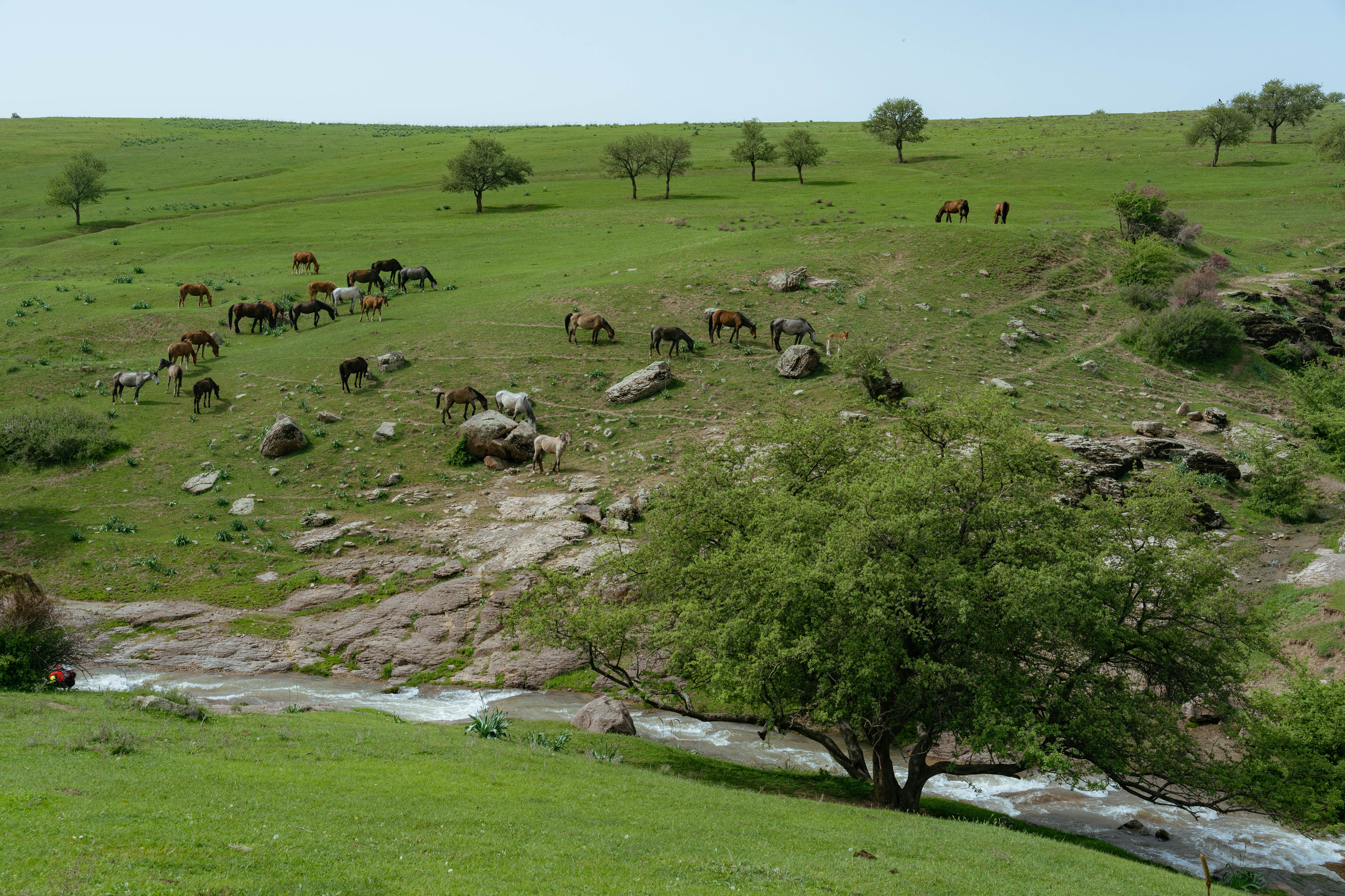 Поход в Азадбашсай. Георгий Намазов | Фотограф в Ташкенте