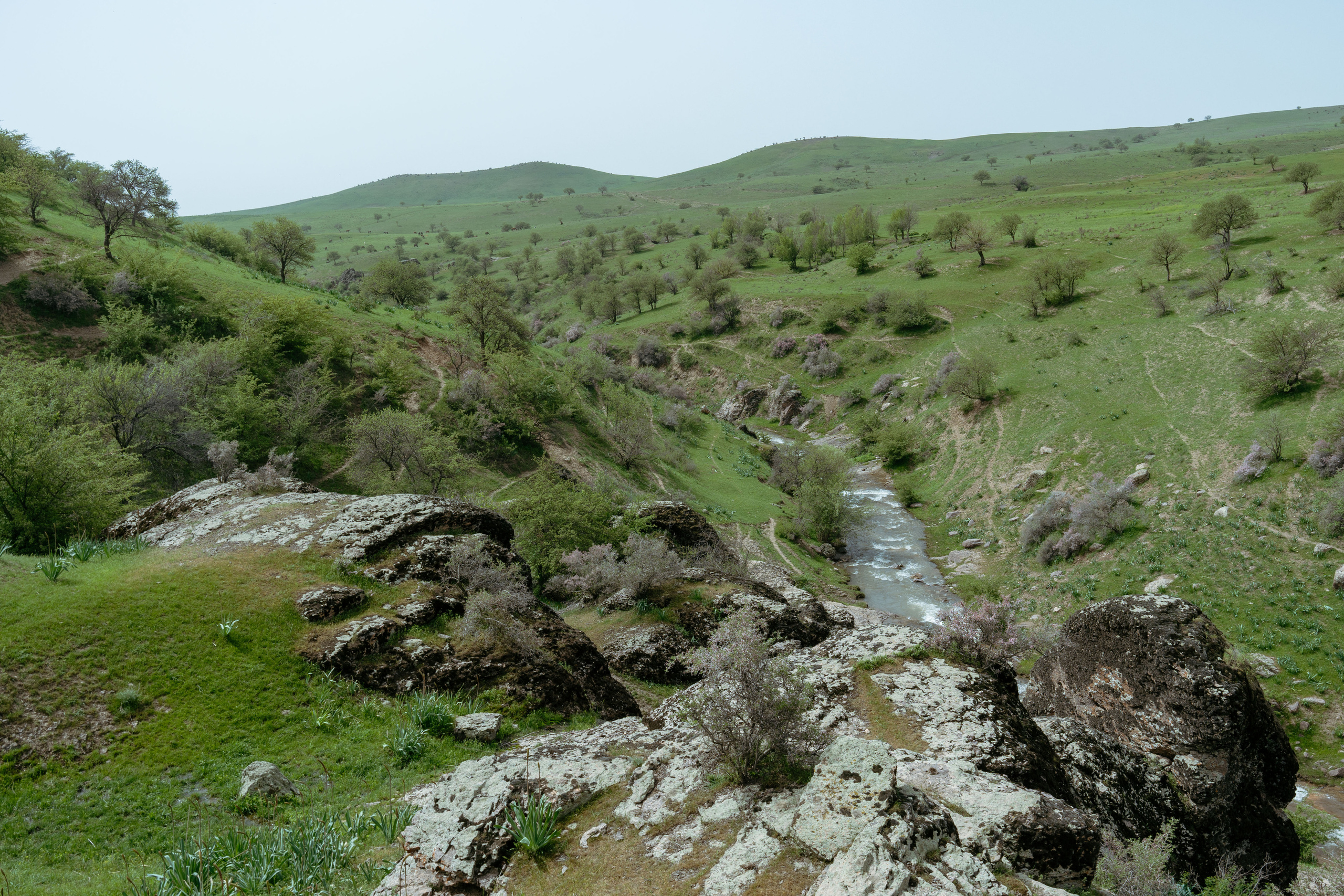 Поход в Азадбашсай. Георгий Намазов | Фотограф в Ташкенте