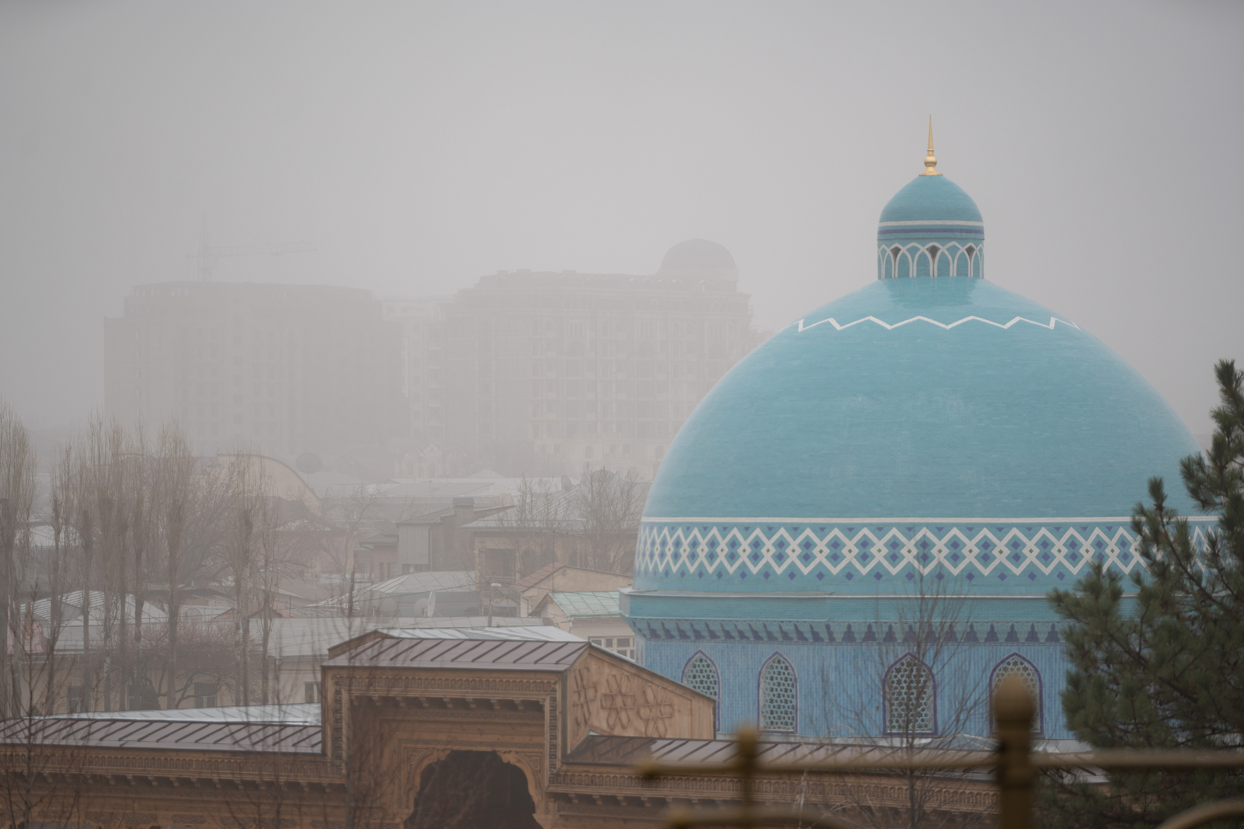 Ташкент во власти тумана. Георгий Намазов | Фотограф в Ташкенте