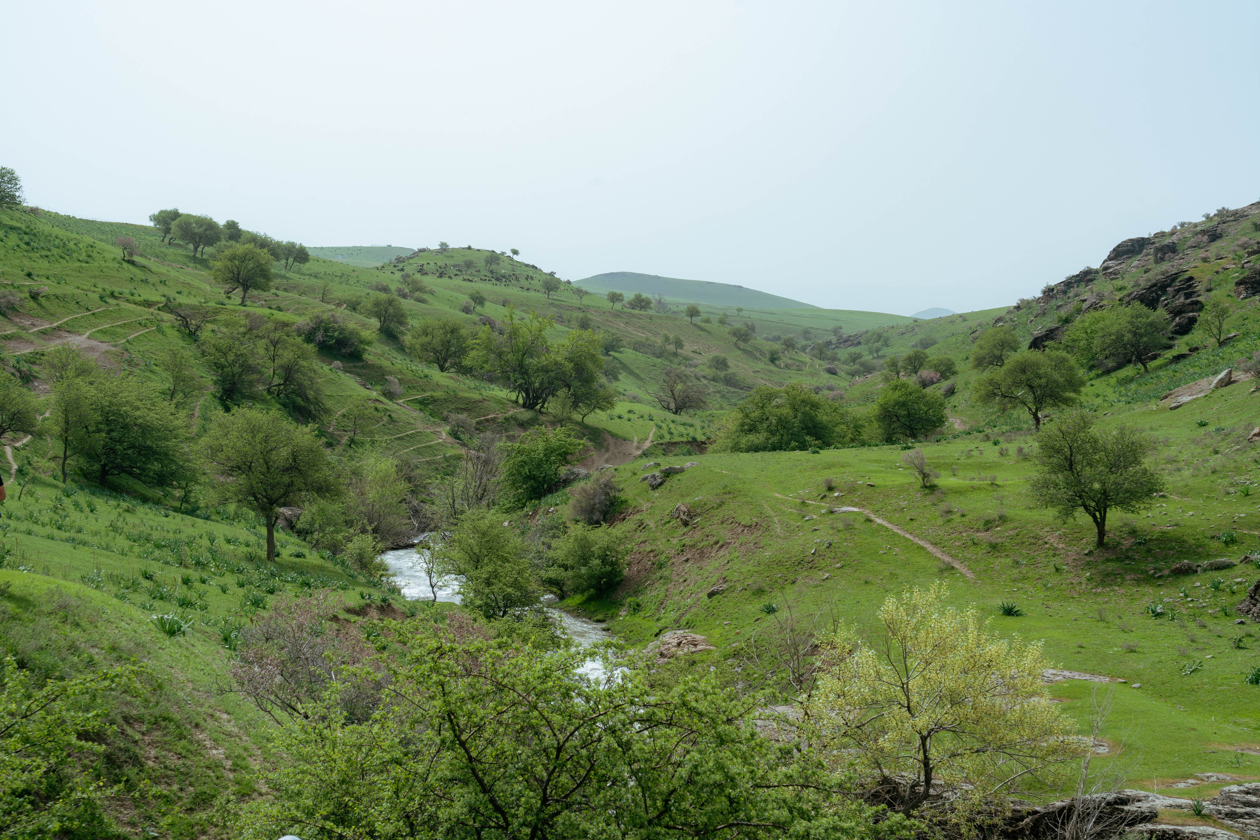 Поход в Азадбашсай. Георгий Намазов | Фотограф в Ташкенте