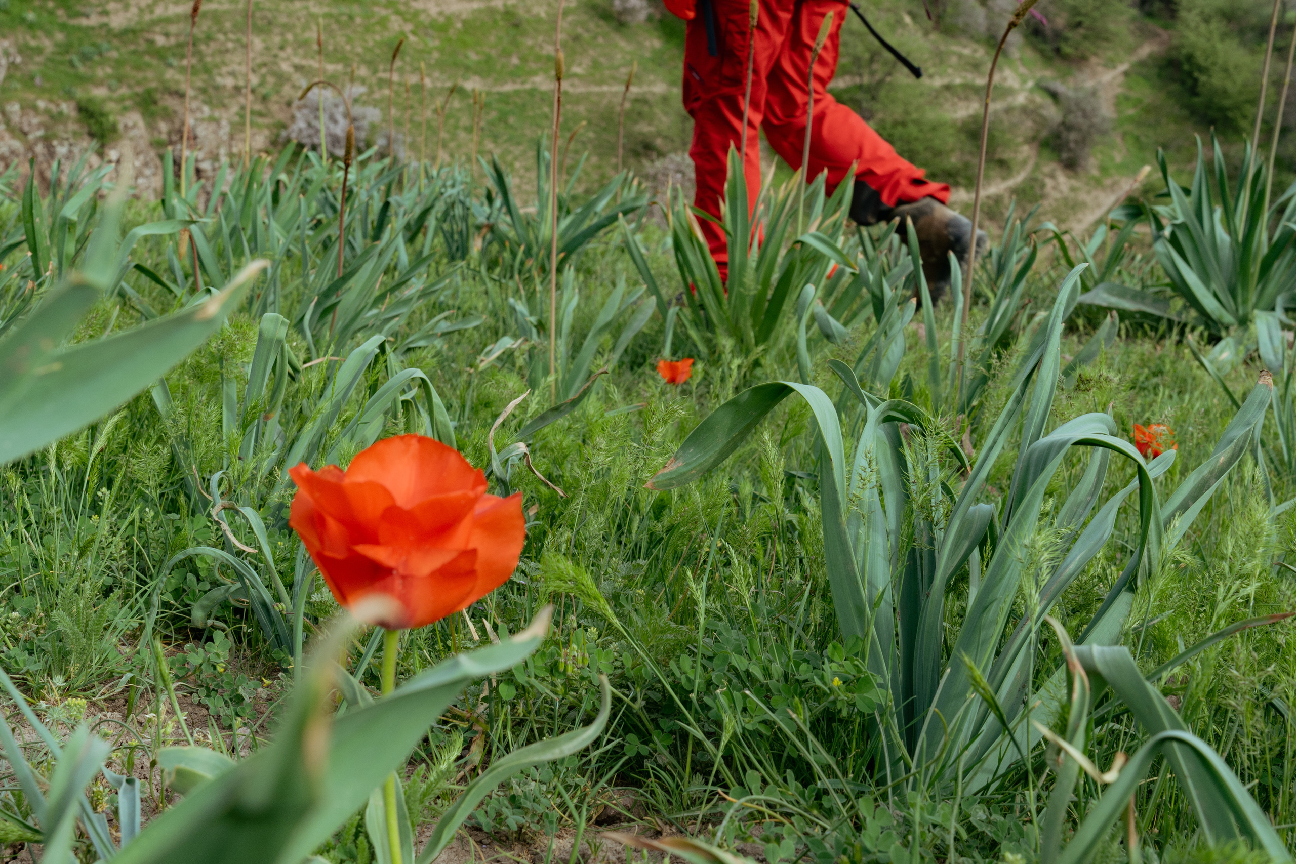 Поход в Азадбашсай. Георгий Намазов | Фотограф в Ташкенте