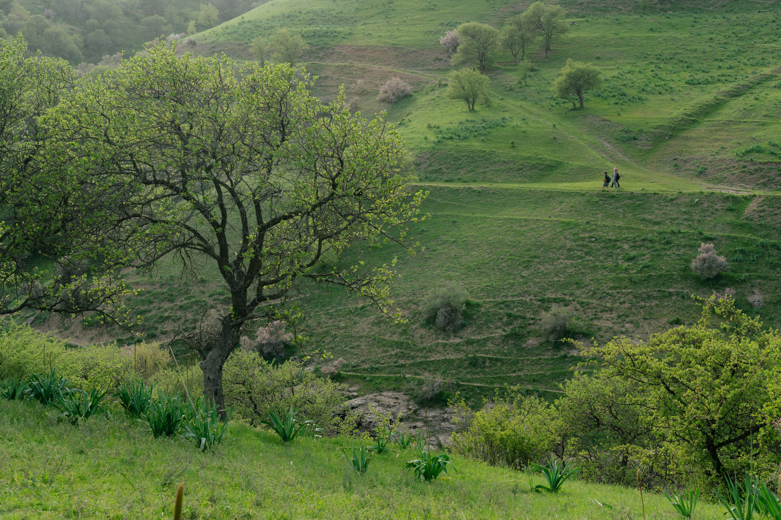 Поход в Азадбашсай. Георгий Намазов | Фотограф в Ташкенте