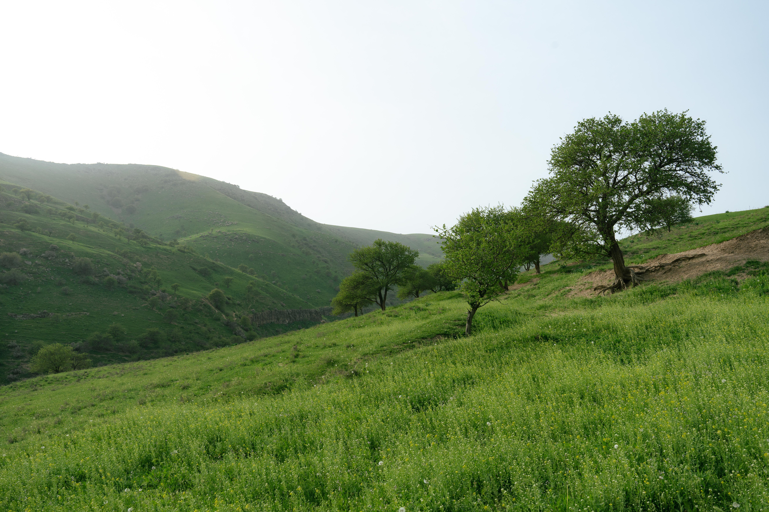 Поход в Азадбашсай. Георгий Намазов | Фотограф в Ташкенте