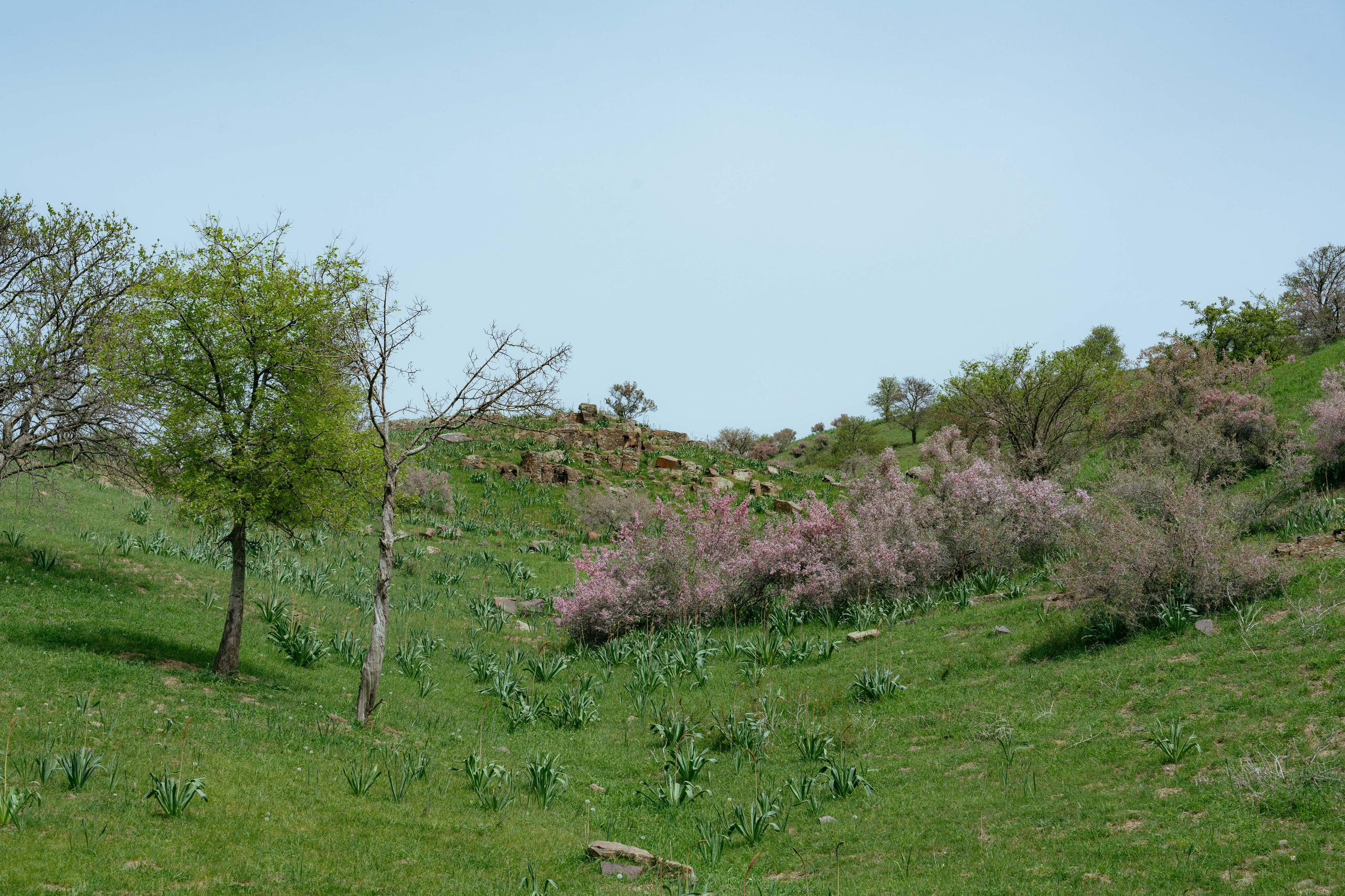 Поход в Азадбашсай. Георгий Намазов | Фотограф в Ташкенте