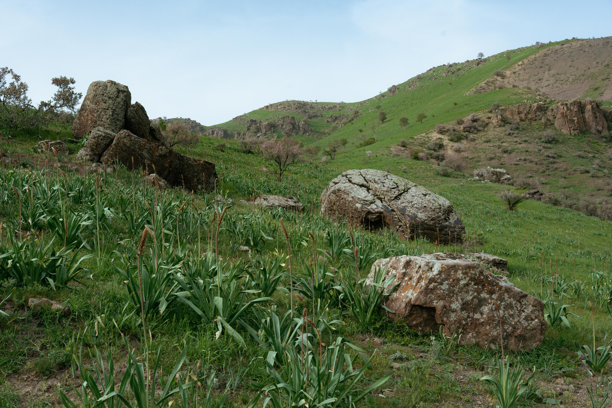 Поход в Азадбашсай. Георгий Намазов | Фотограф в Ташкенте