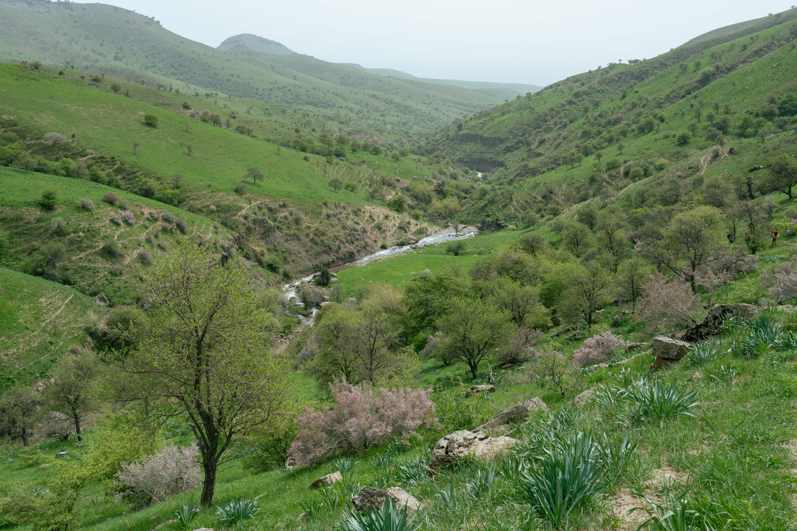 Поход в Азадбашсай. Георгий Намазов | Фотограф в Ташкенте