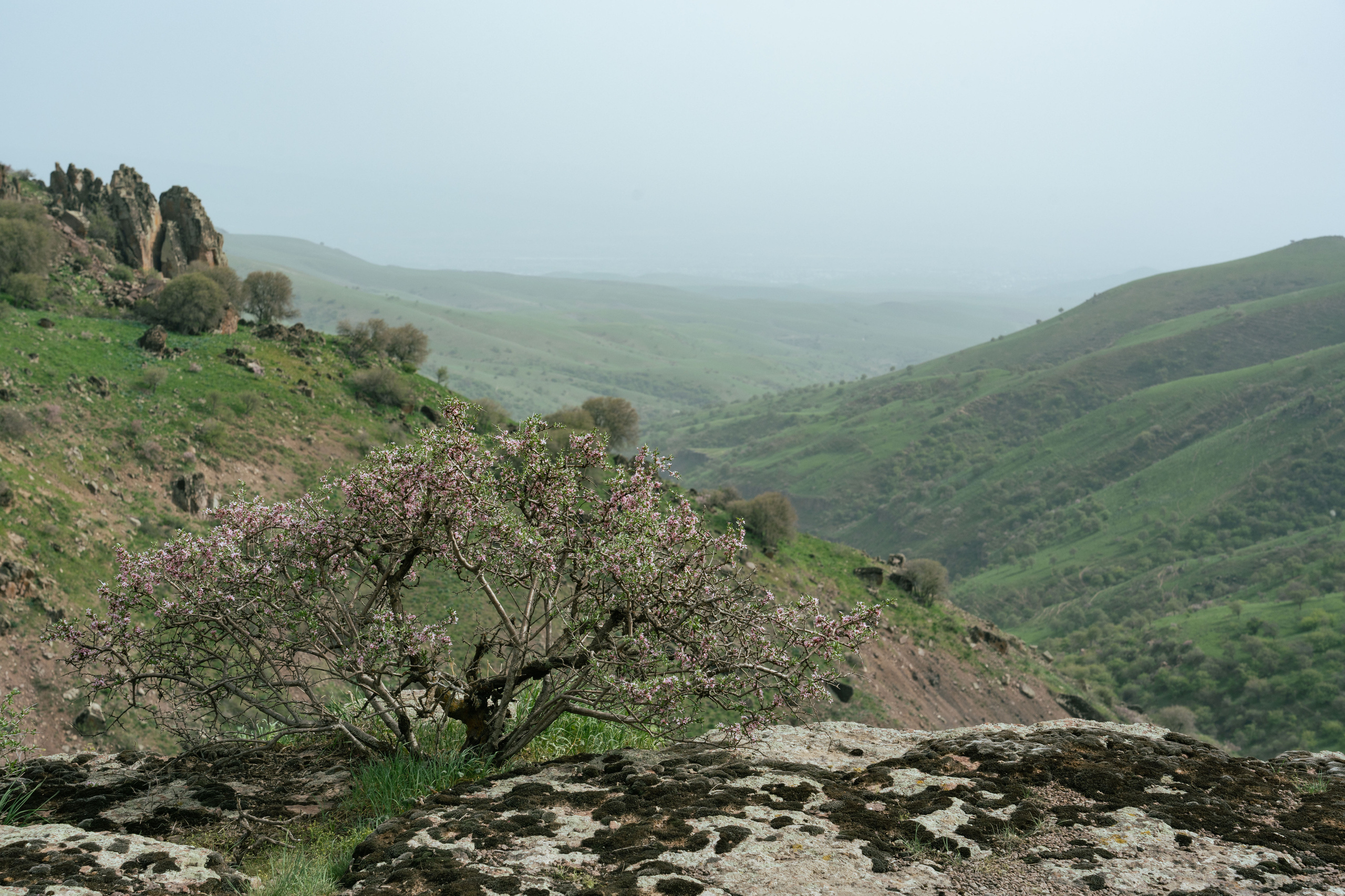 Поход в Азадбашсай. Георгий Намазов | Фотограф в Ташкенте