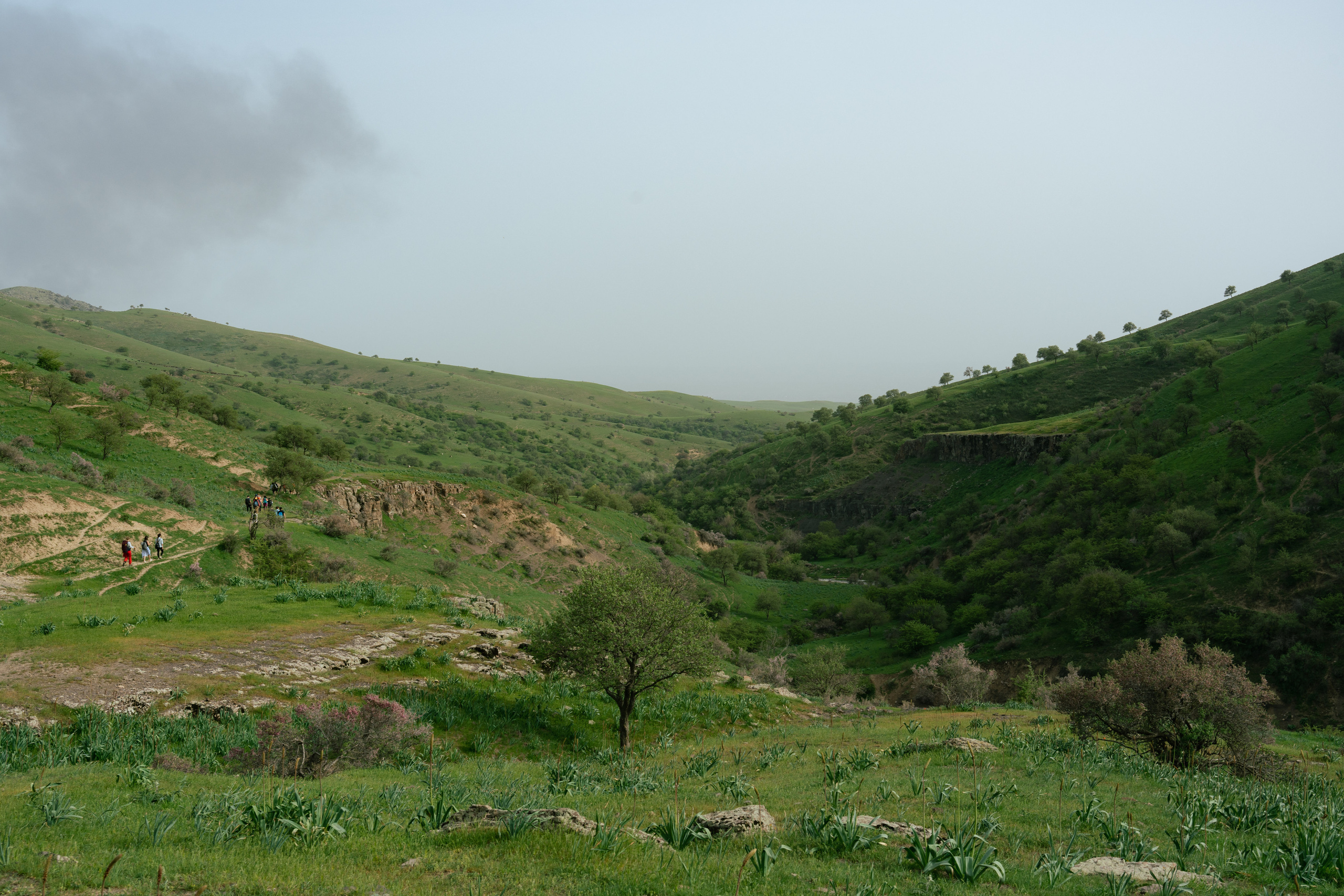 Поход в Азадбашсай. Георгий Намазов | Фотограф в Ташкенте