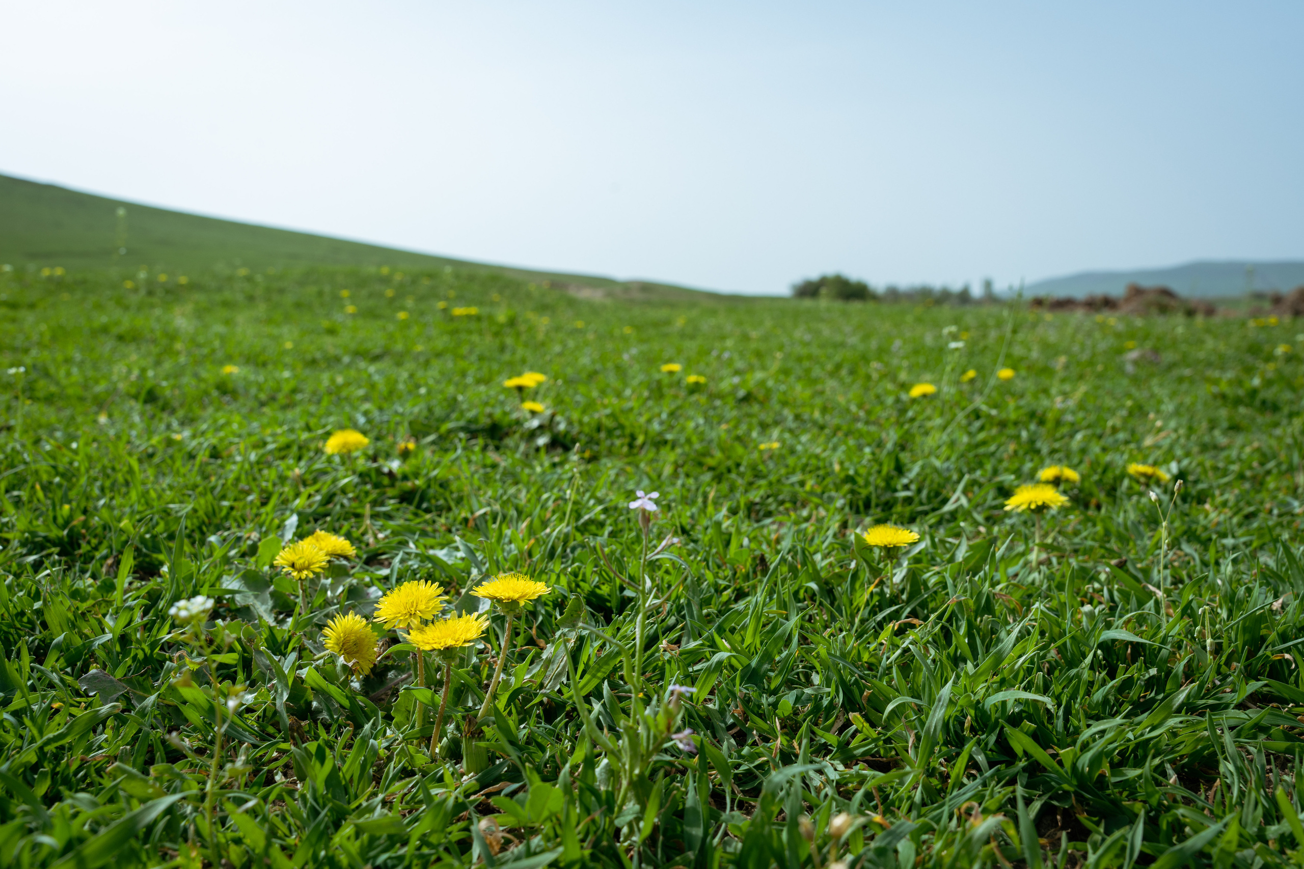 Поход в Азадбашсай. Георгий Намазов | Фотограф в Ташкенте
