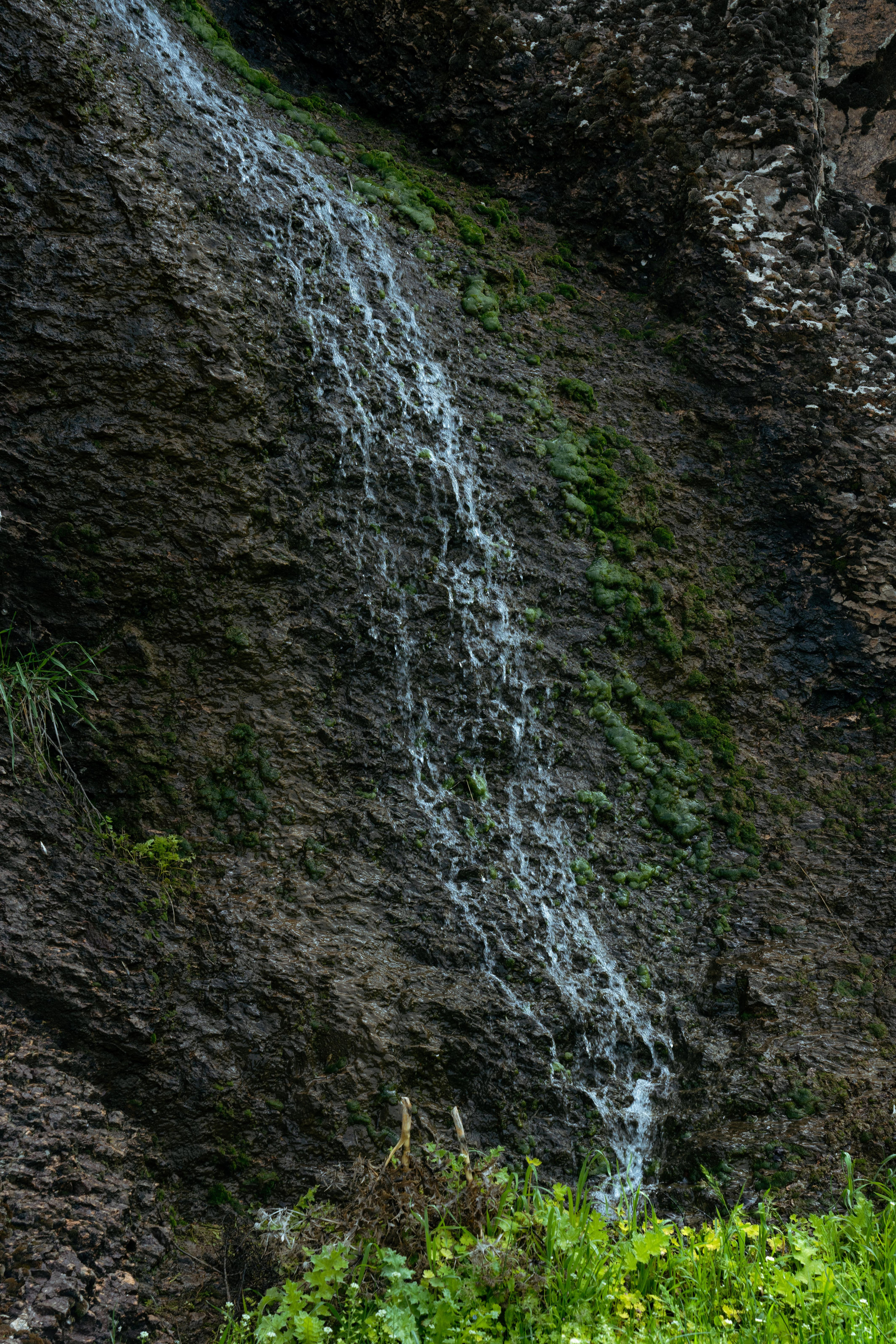 Поход в Азадбашсай. Георгий Намазов | Фотограф в Ташкенте