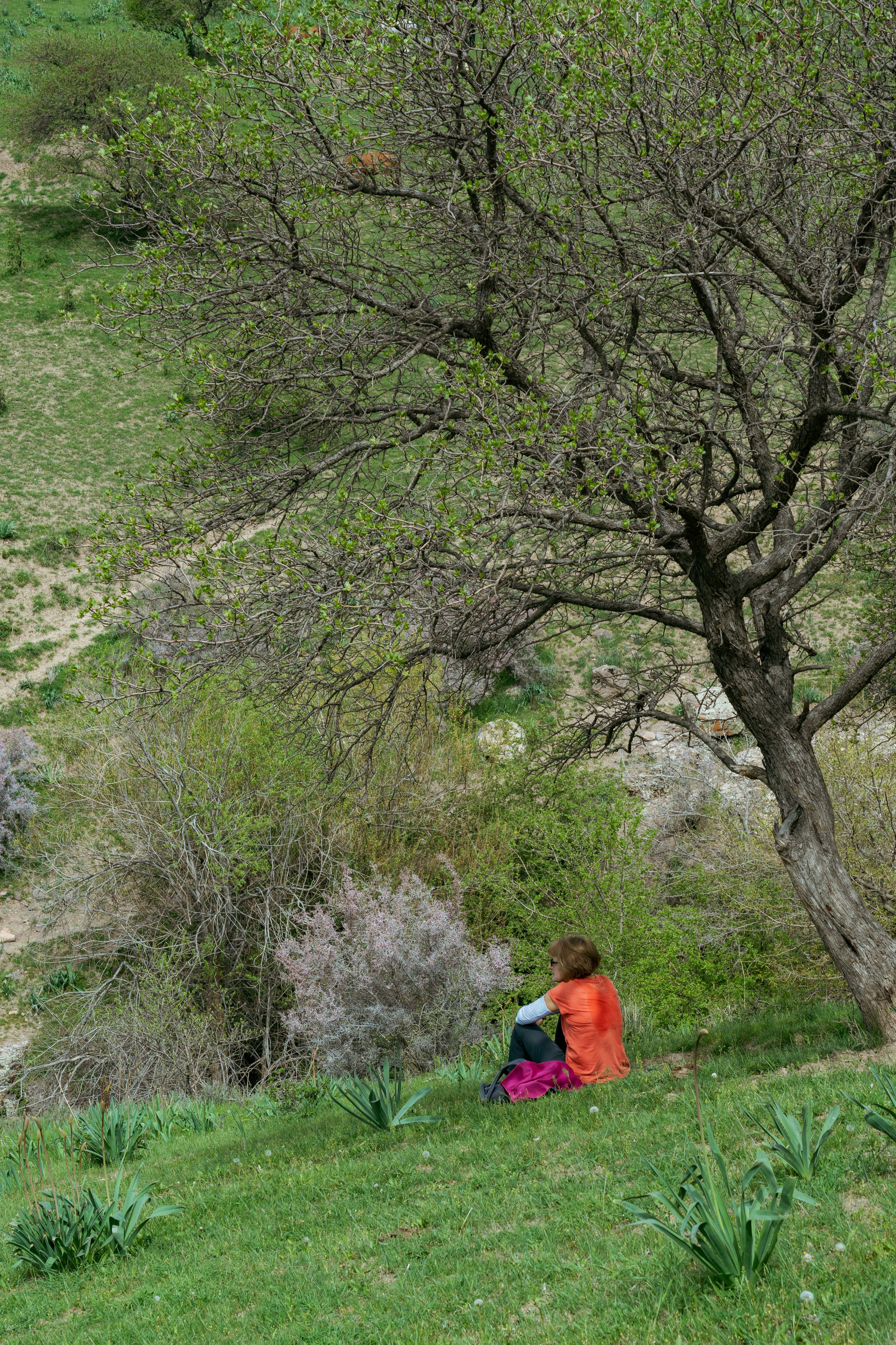 Поход в Азадбашсай. Георгий Намазов | Фотограф в Ташкенте