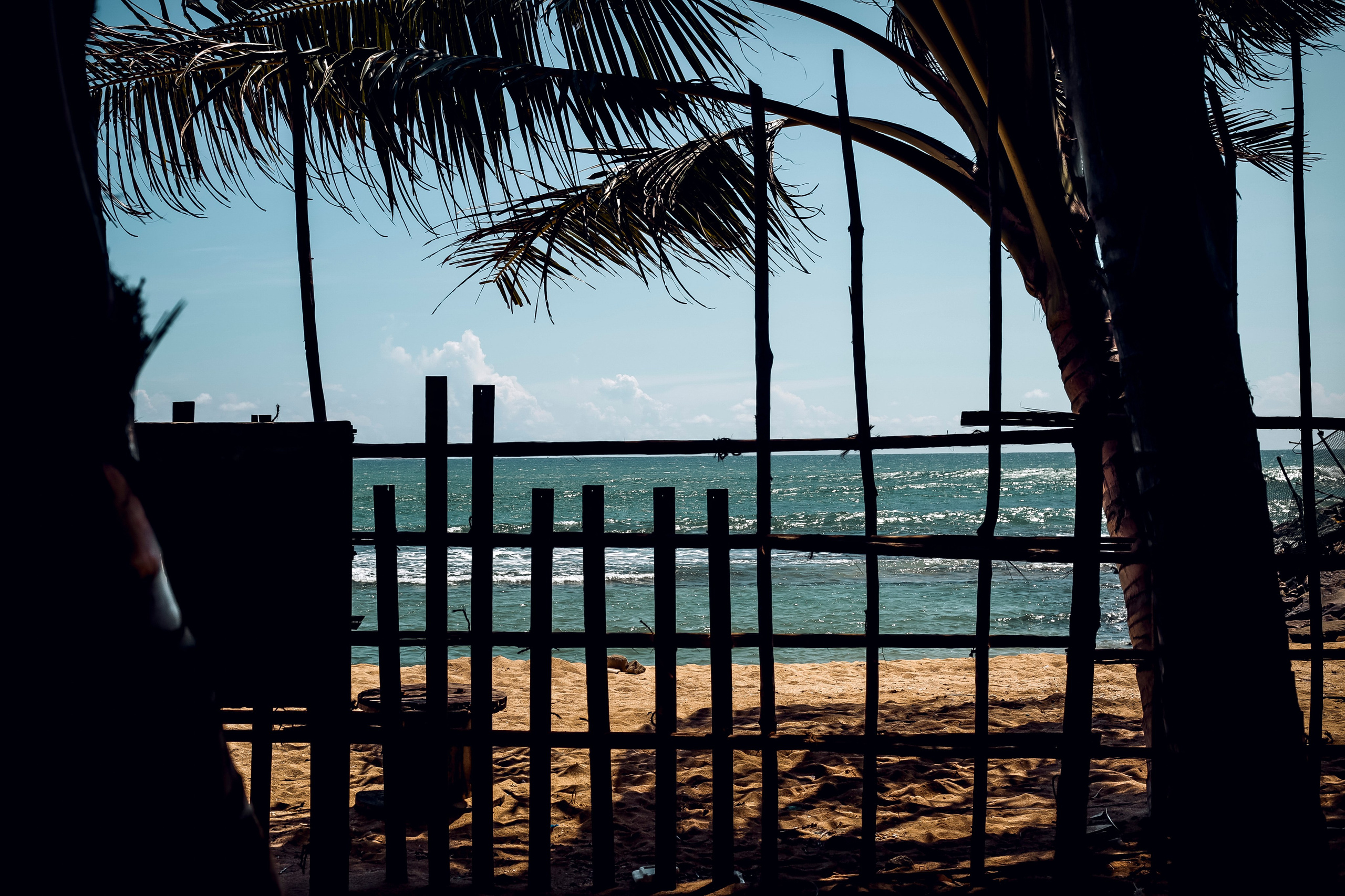 Sri Lanka. Art Photographer