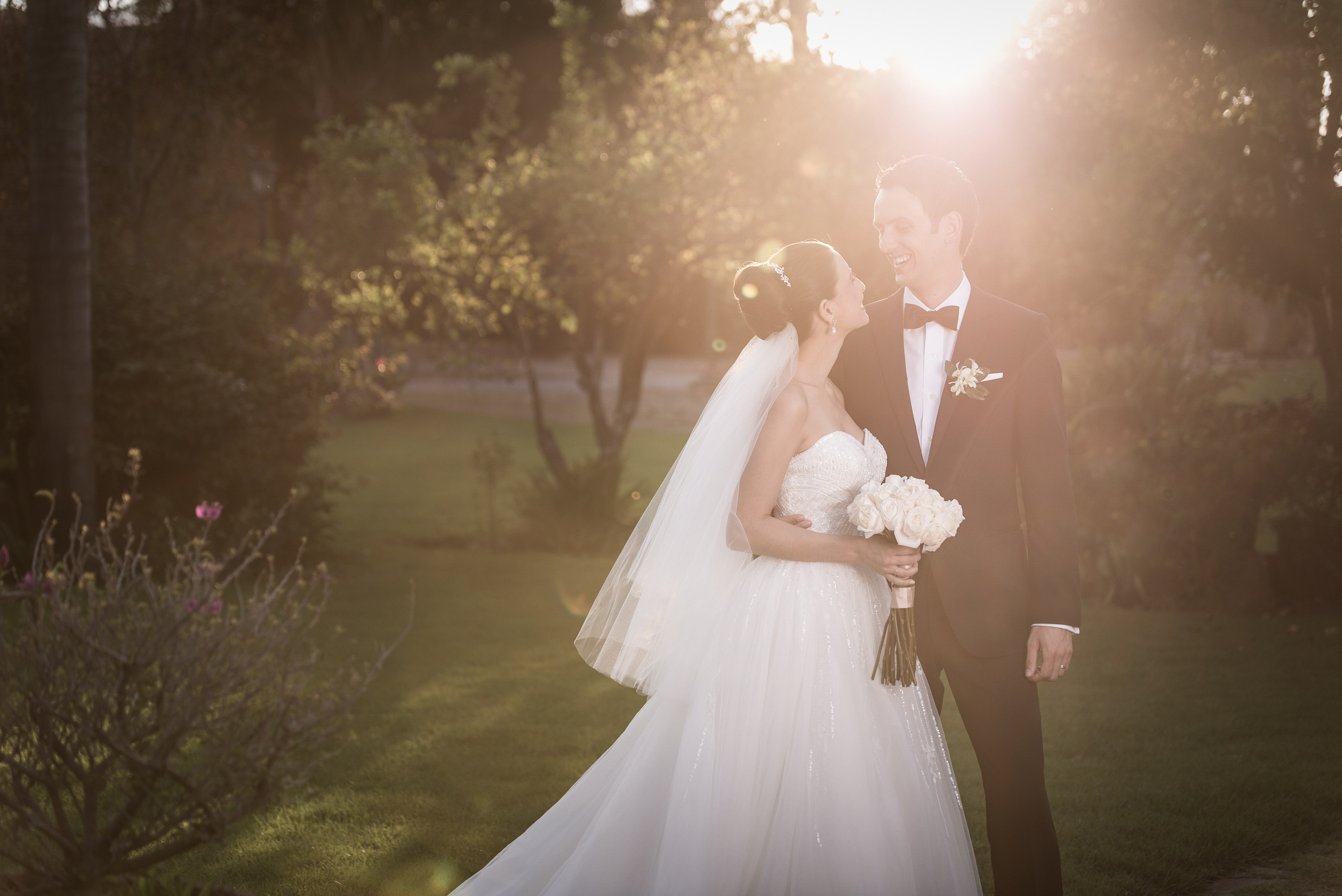 Web. Fotógrafo Profesional en Guadalajara