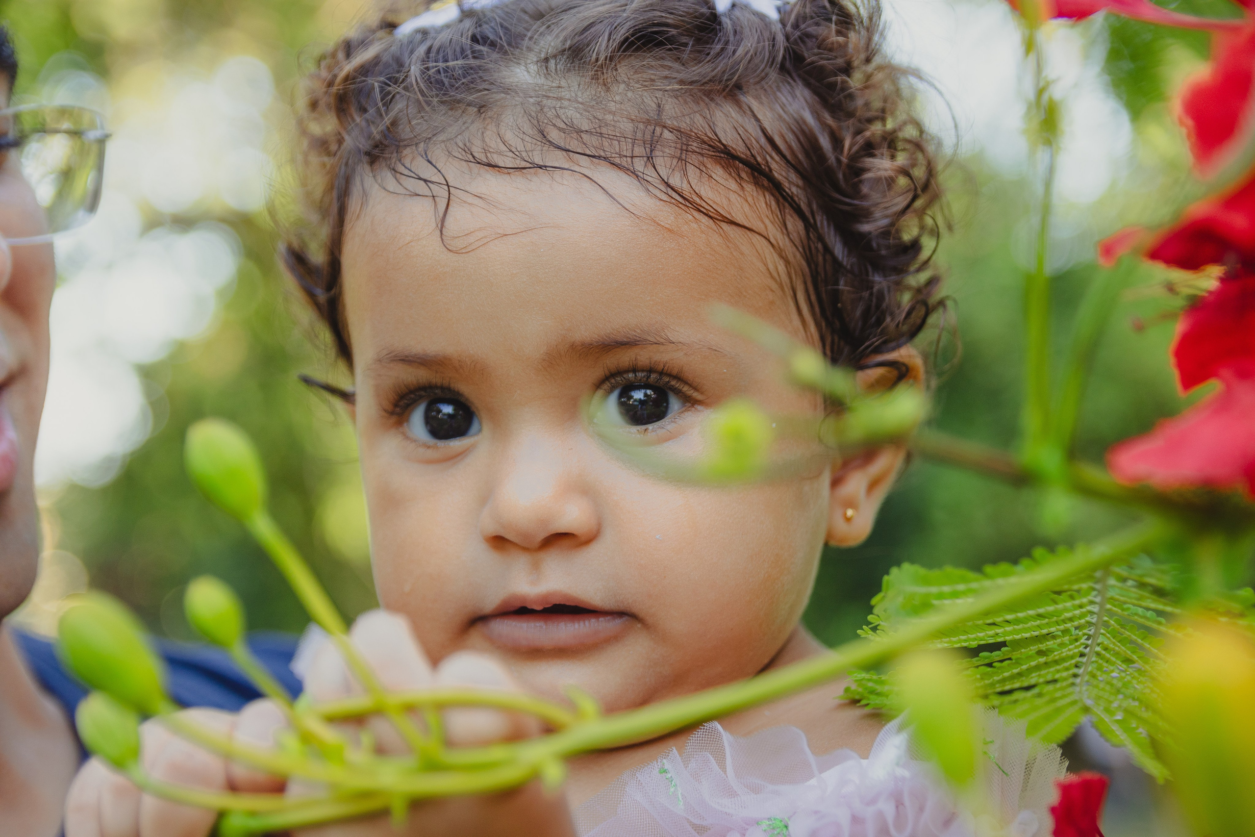 Ensaios de família. Clara Solano Fotografia