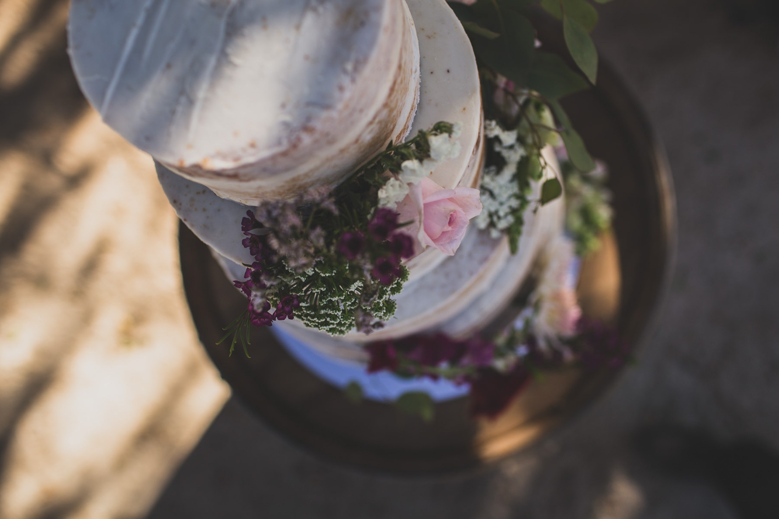 Valle de Guadalupe Boda Ilieana y Antonio. Estudio de fotografia en Tijuana
