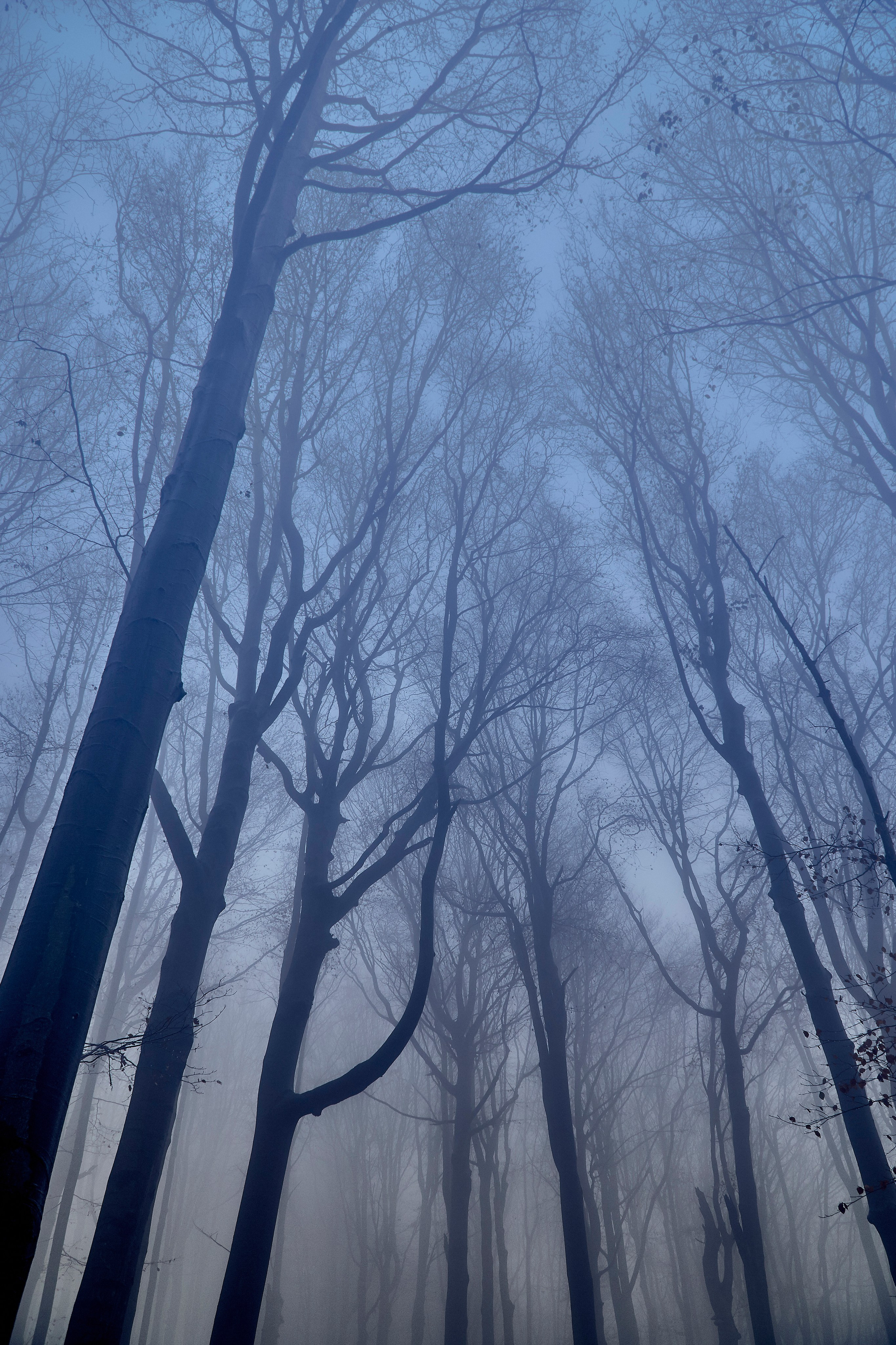 Бещады — здесь остановилось время. Андрей Шипилов — Фотография & Видеография