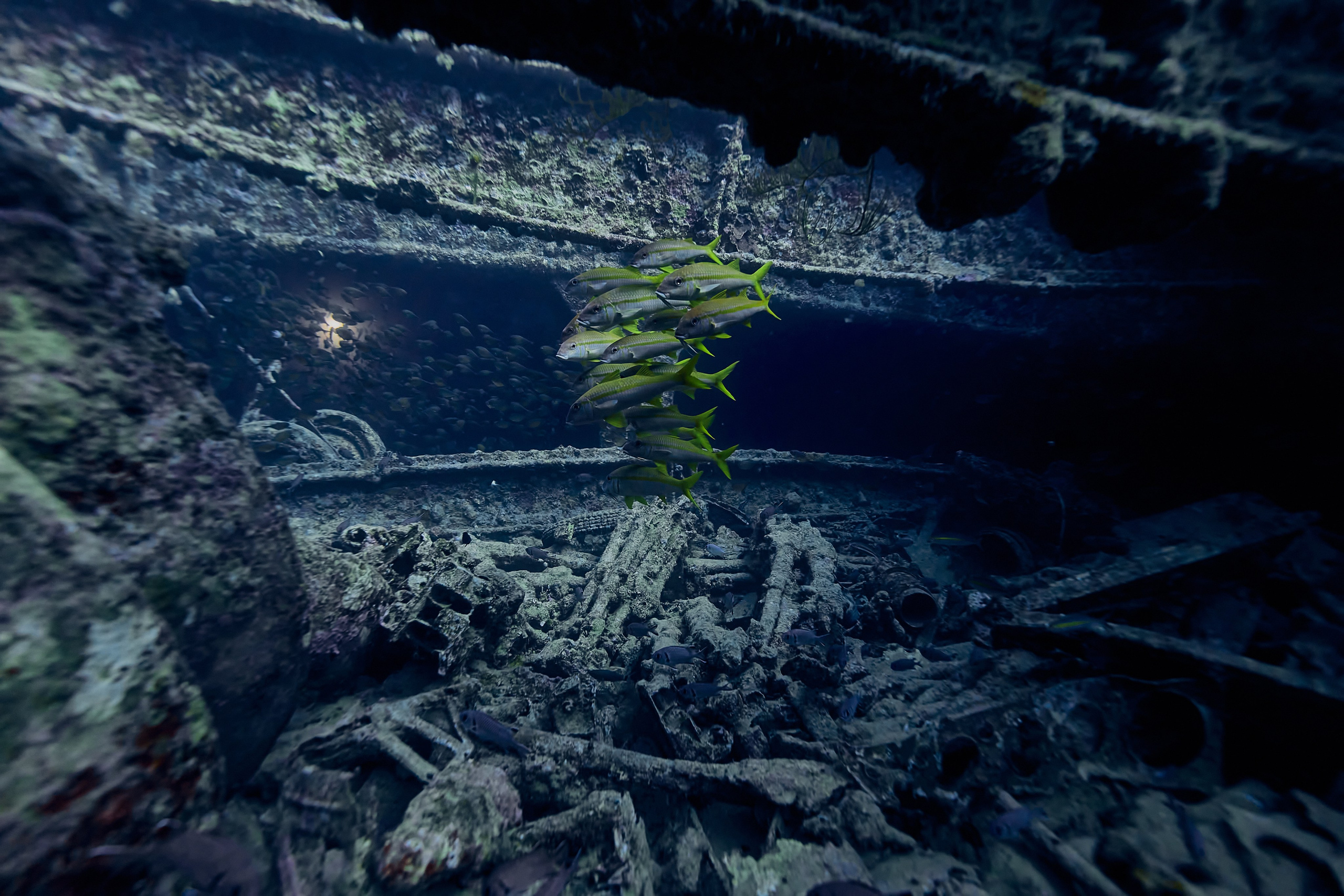 Underwater photographer Andriej Szypilow - photos of the mysterious SS Thistlegorm - sunken ship in the red sea