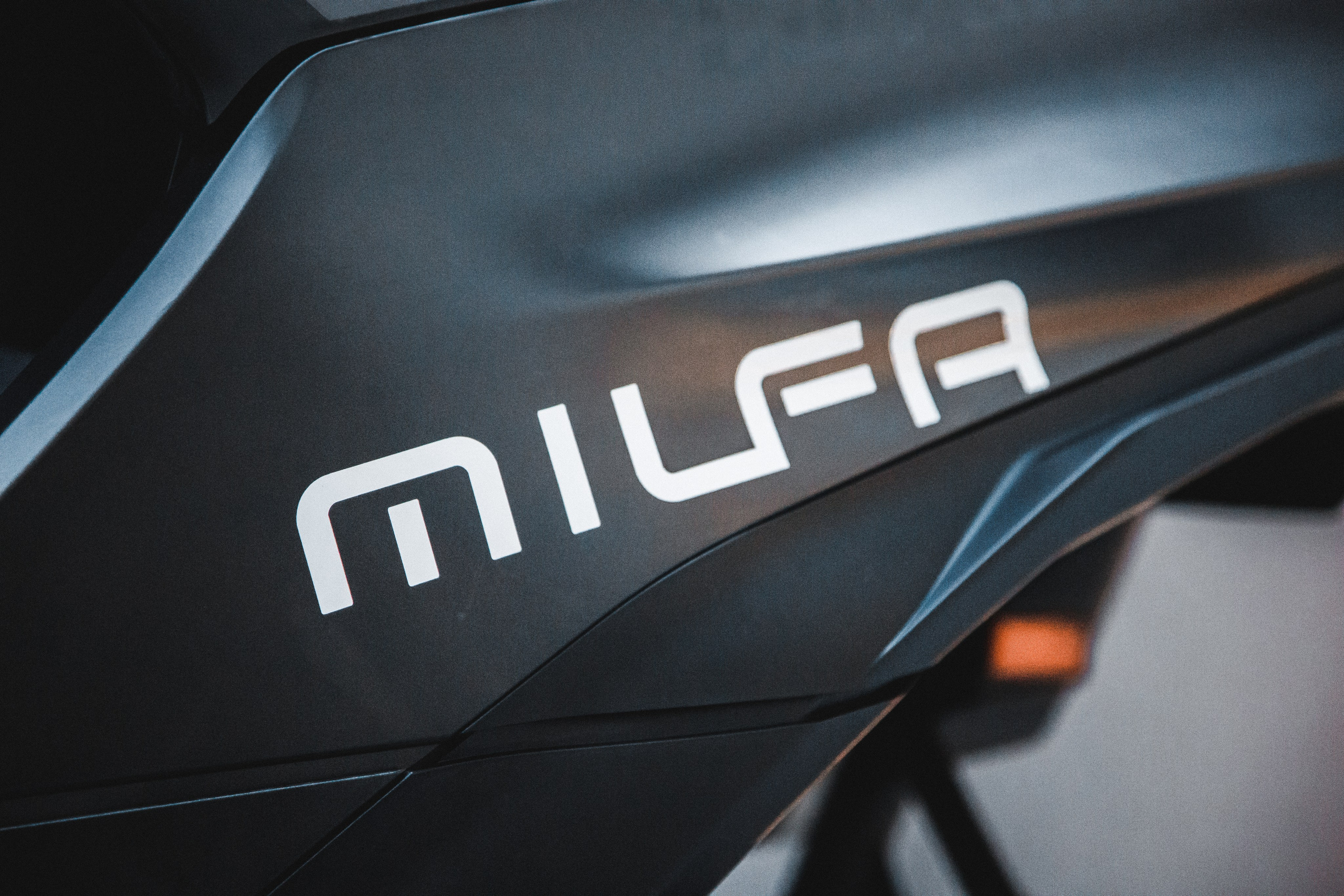 Reportage sport. Wedding photographer and videographer Europe