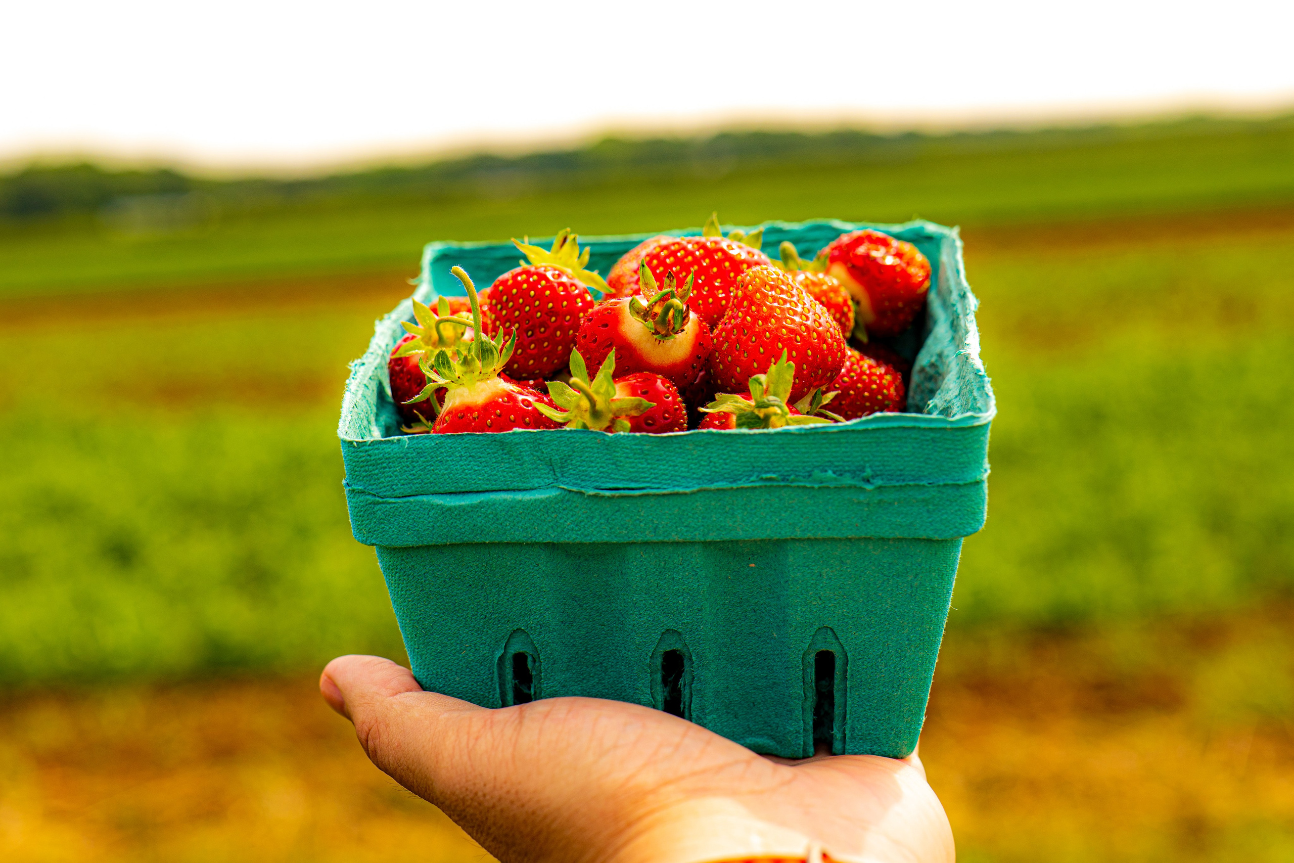 Фото Бинго — Food съемка. Отражение