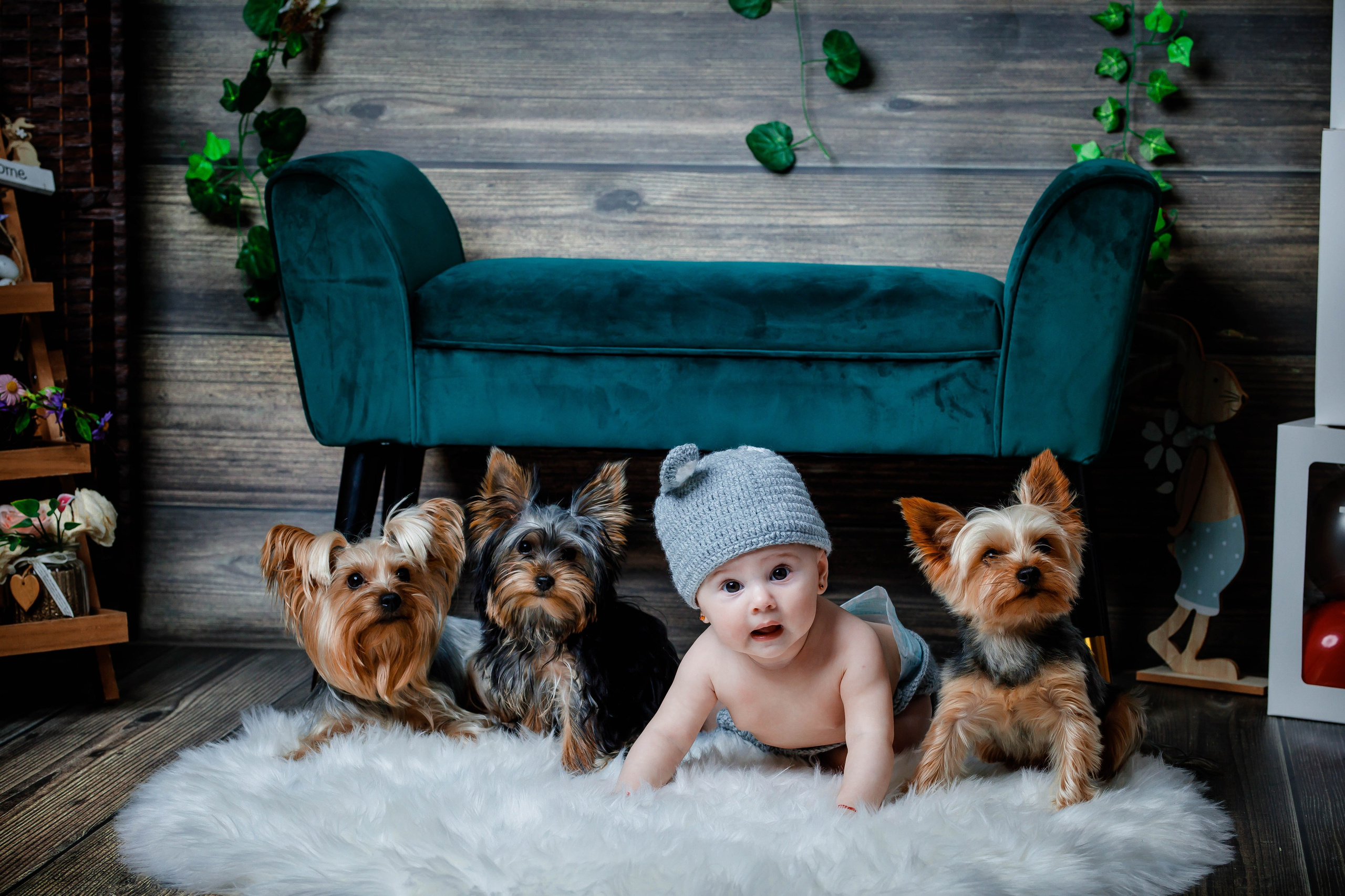 Studio. Dream Studio Galați – ședințe foto profesionale pentru familie, portrete și evenimente