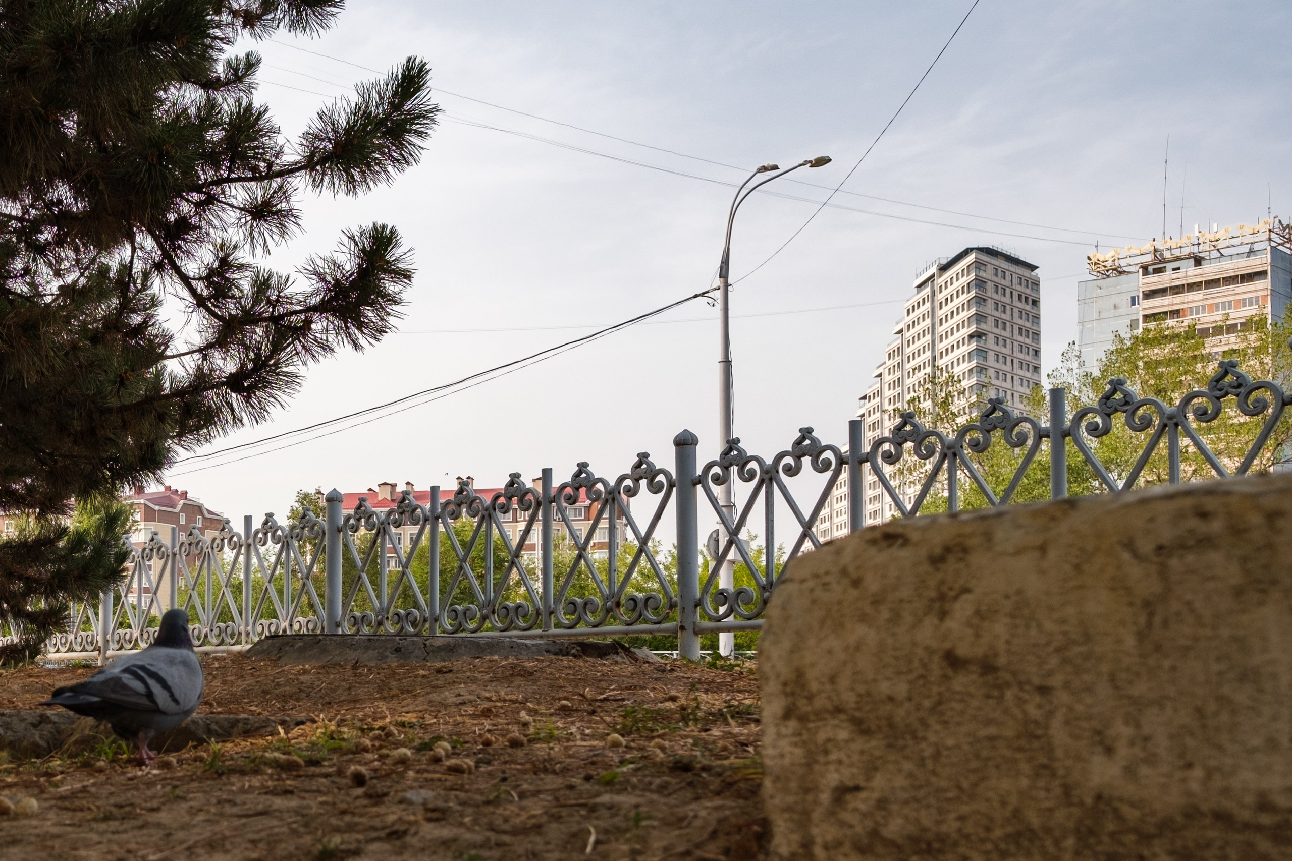 SIGMA 10-18mm DC DN (X-mount). Фотограф Григорий Кравец