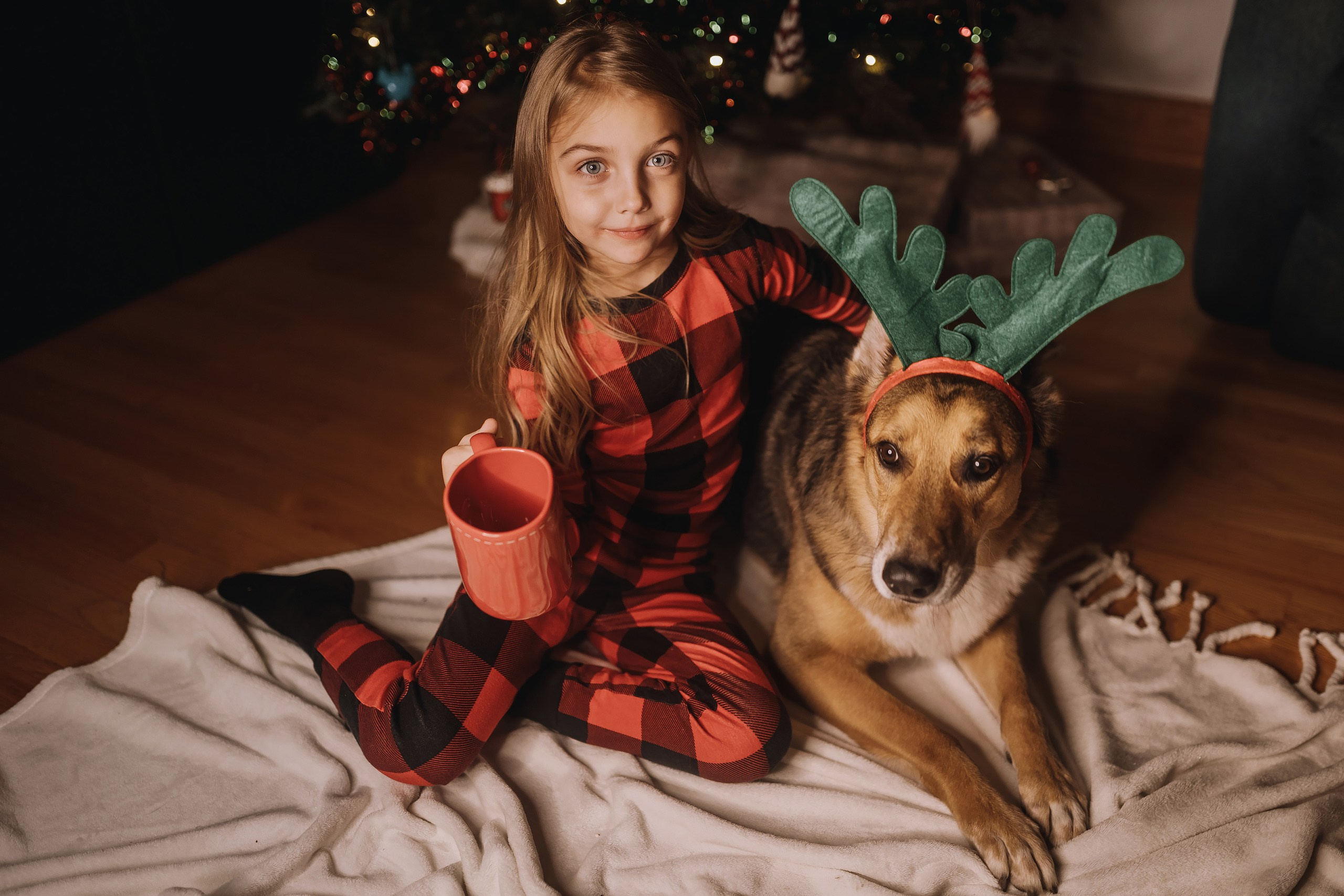 25.11.2023 Christmas Photoshoot 2. Wedding family event photographer in Chicago Nick Yushevich