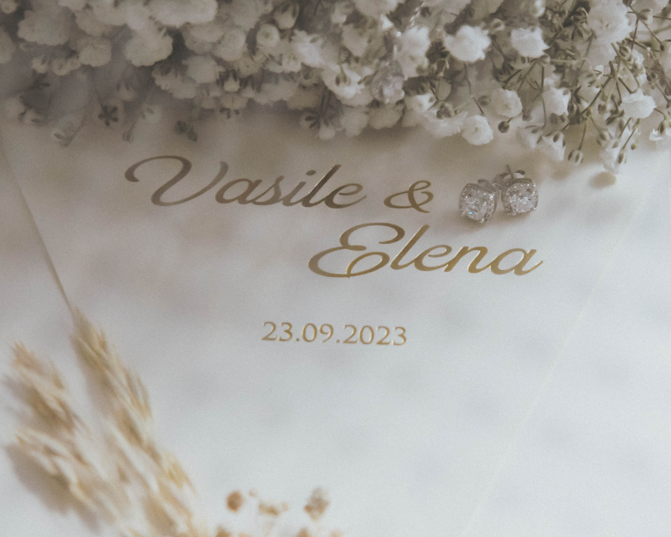 Elena&Vasile
