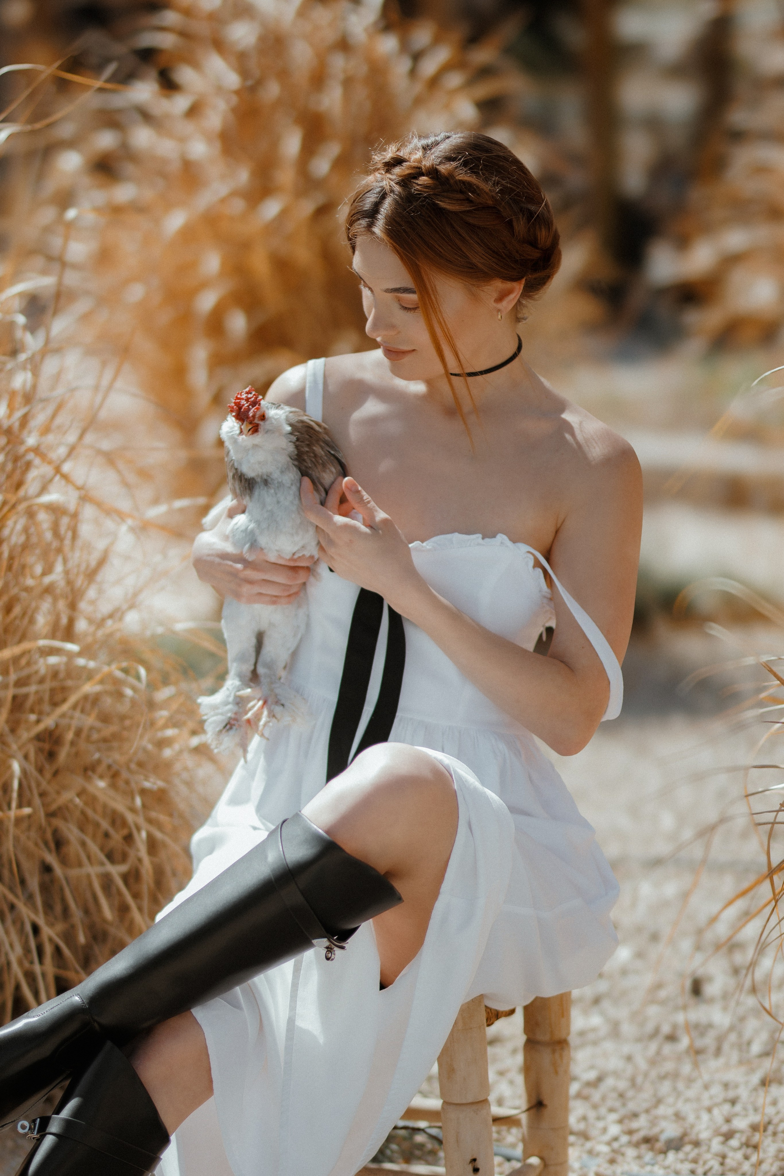 Курица. Фотосессия с курицей. Фото с курицей. Kemer Butiq garden. Локации в Кемере. красивые Локации в Кемере.Локации в Кемере для фотосессии. Локации в Кемере с курицей. Локации в Кемере турция.