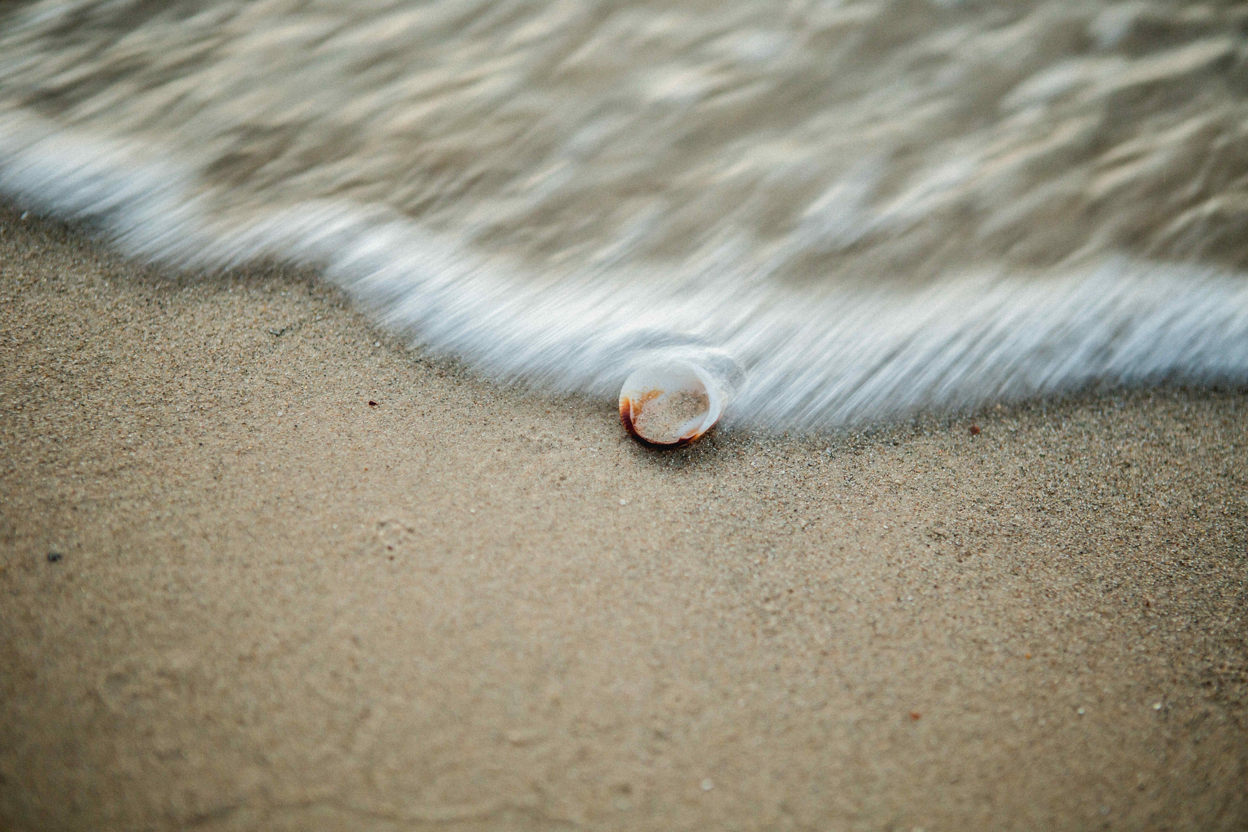 GIVAT OLGA. Https://shi-photo.com/