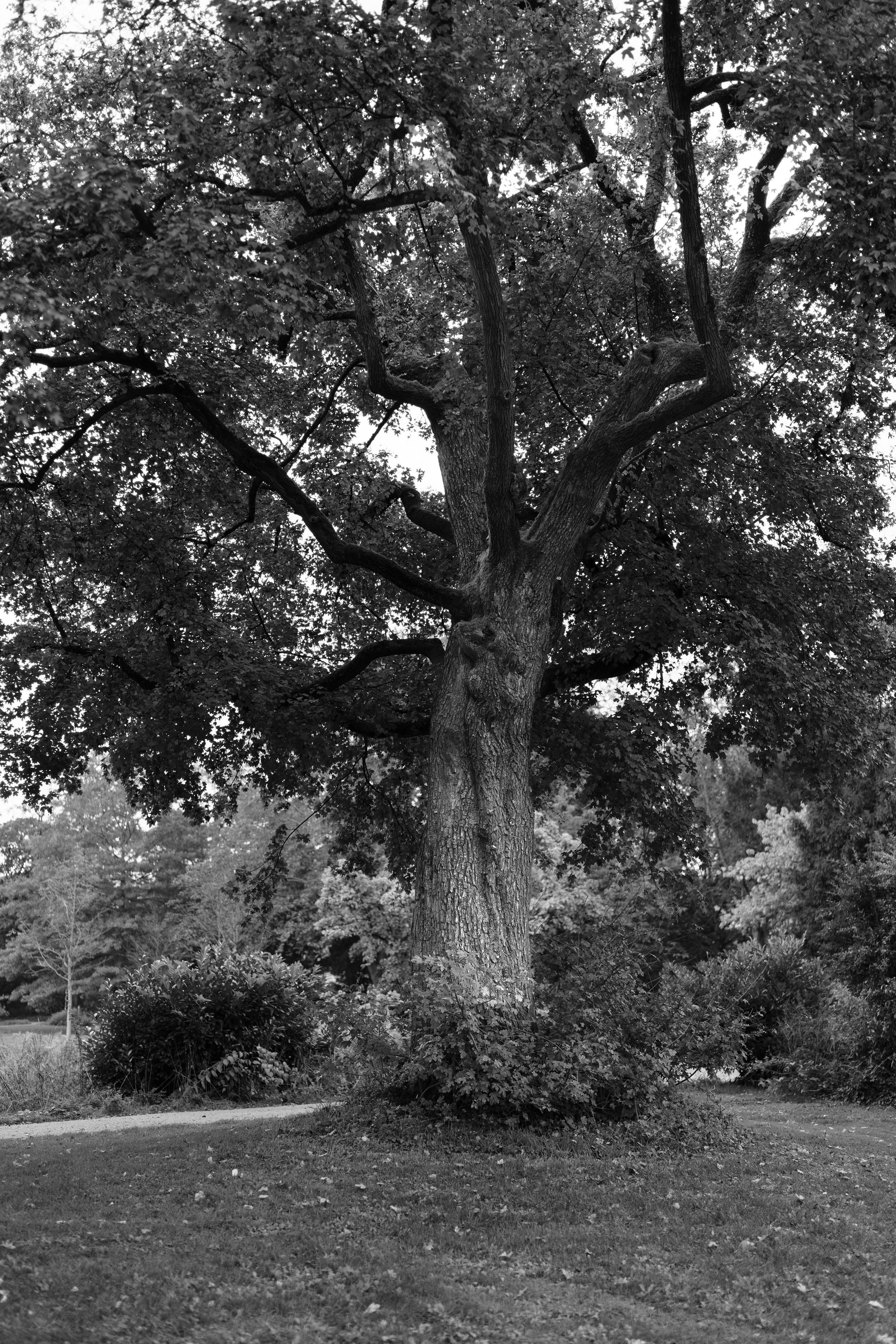 Алина 40. Frenkel Nadja Fotograf in Darmstadt|Frankfurt|Wiesbaden