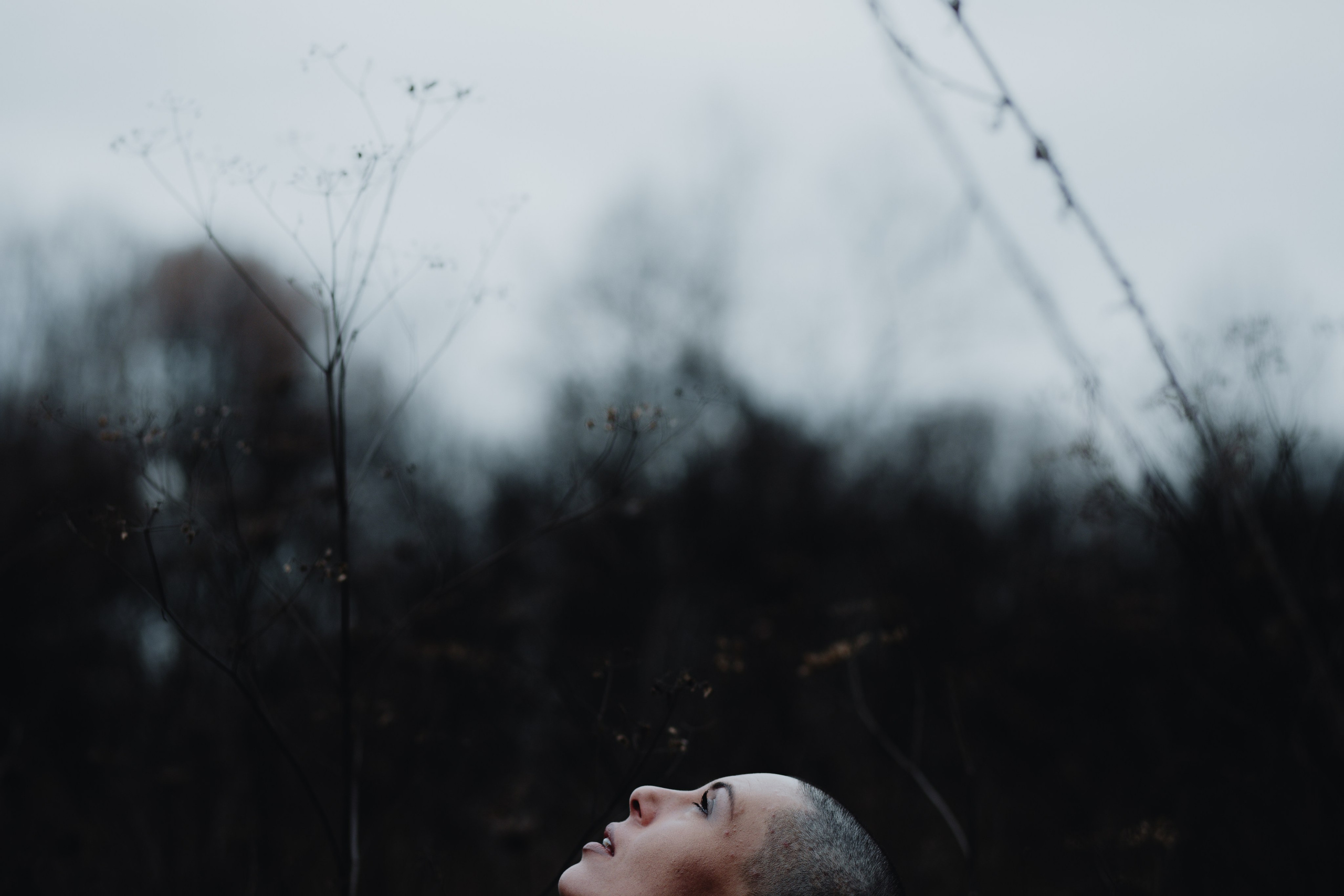 Teo Ioana (Antreprenor). Hornetart