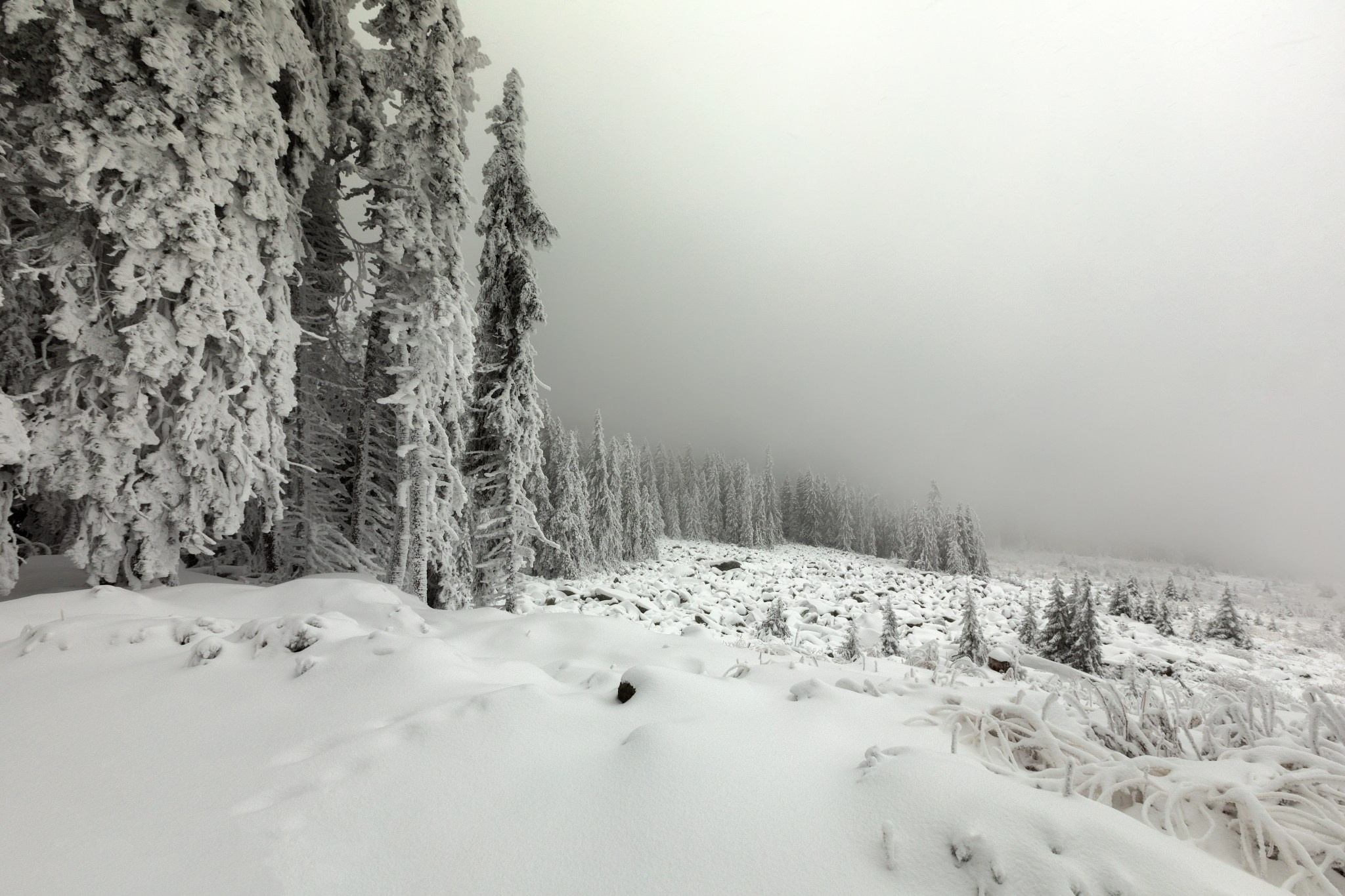 Планини. Александър Сандев - website