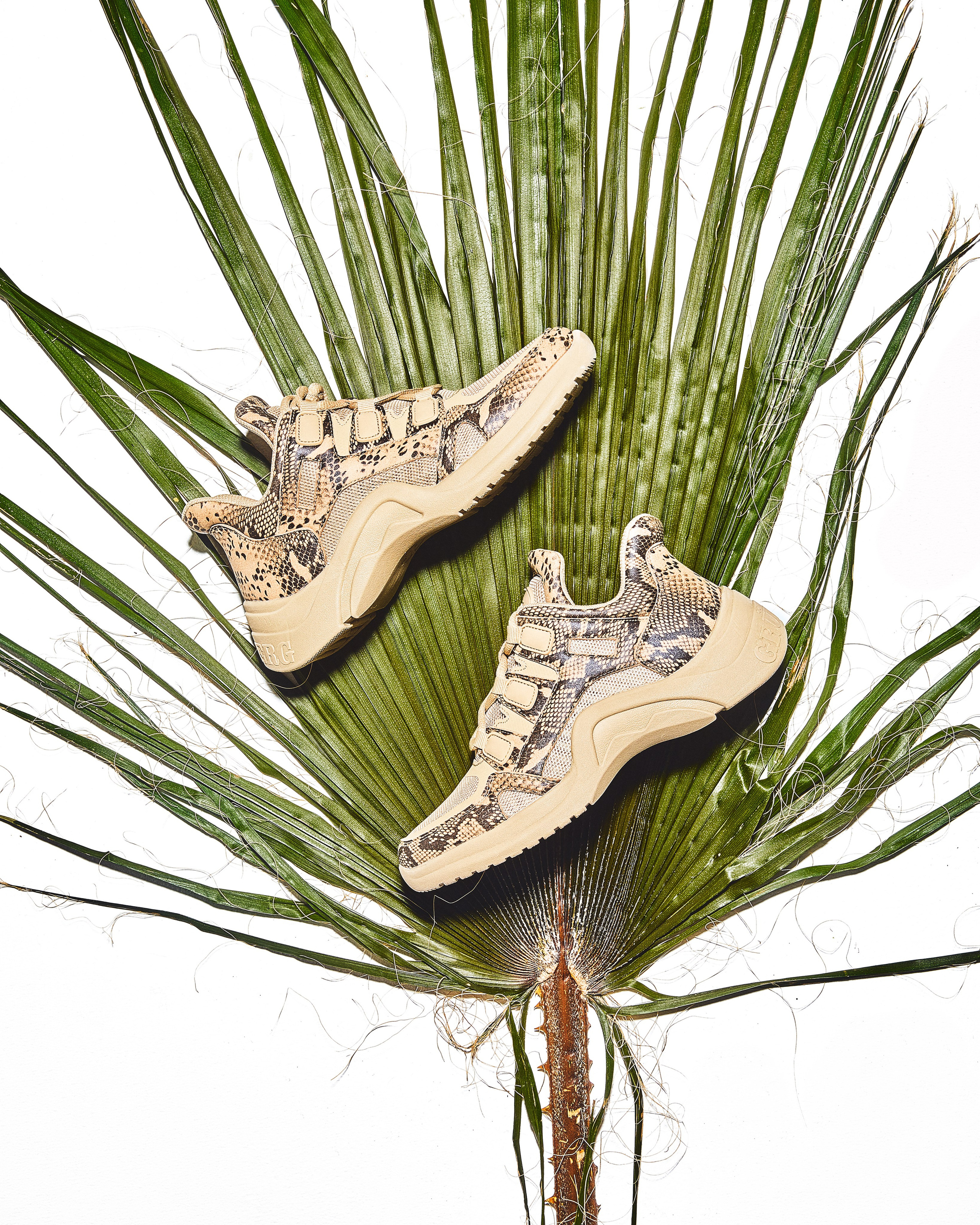 Предметная съемка. Фотограф Абдршин Валерий