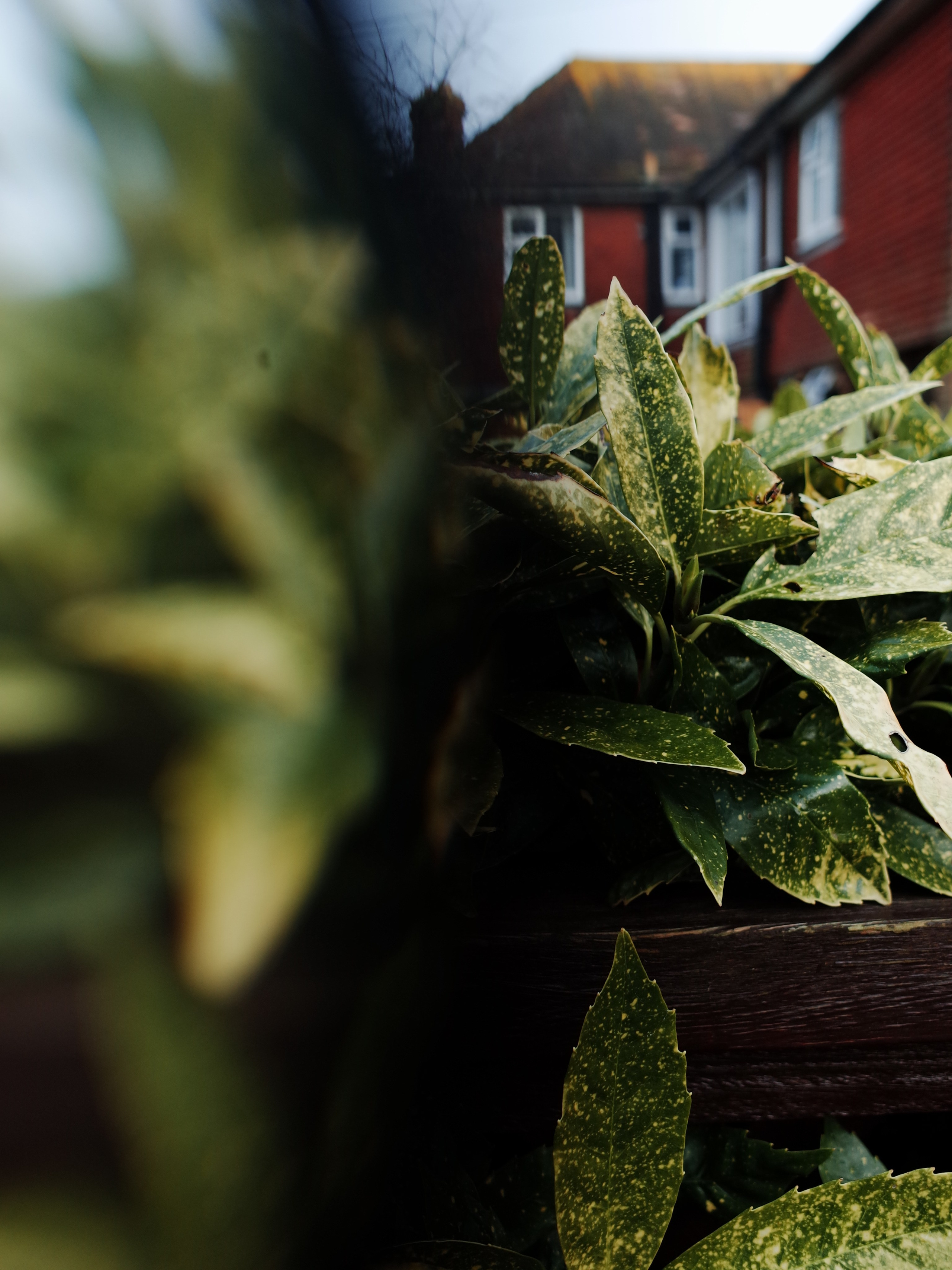 Victoria Dini. Art photography in London / Folkestone, UK